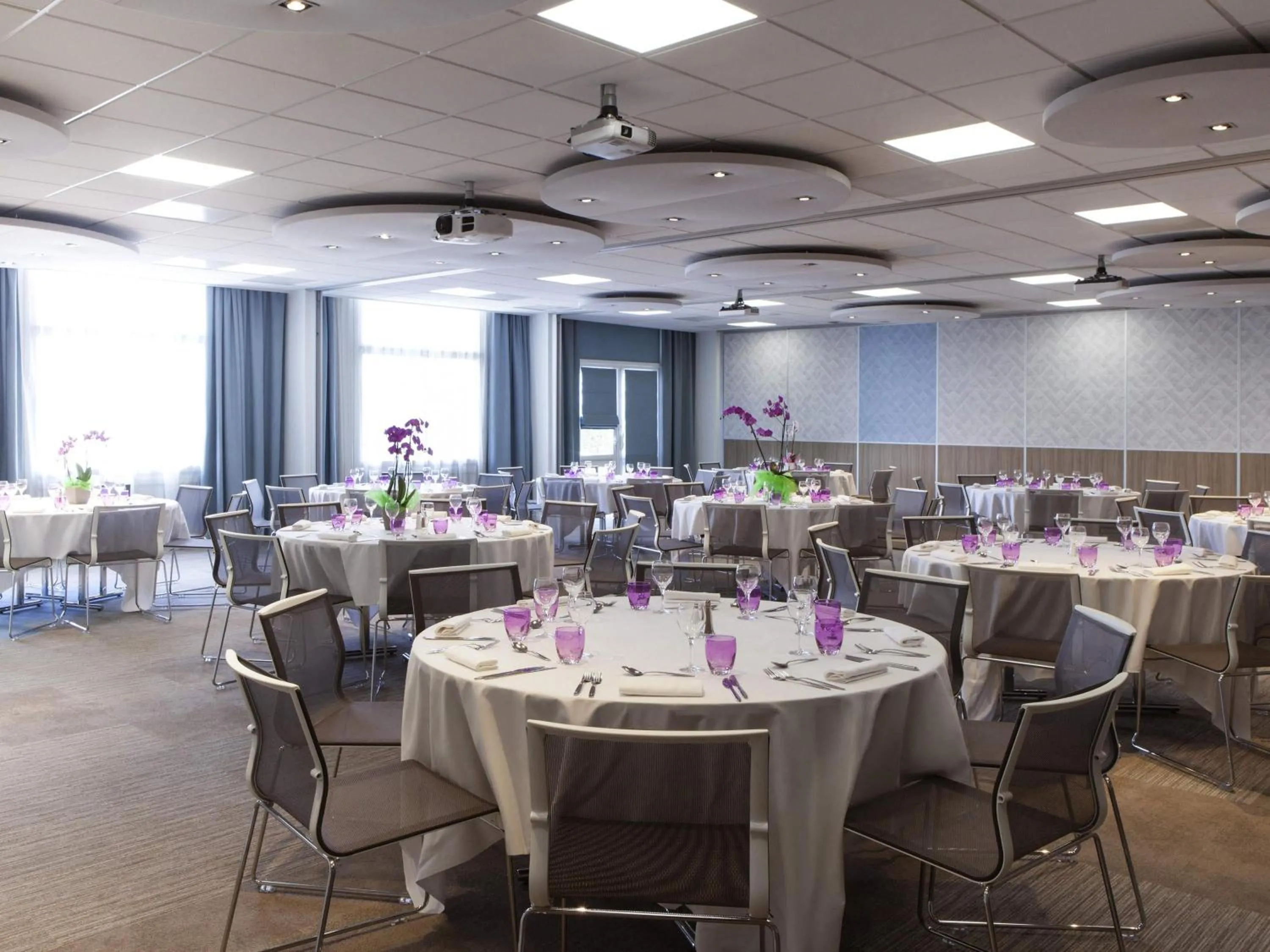 Meeting/conference room in Novotel Massy Palaiseau