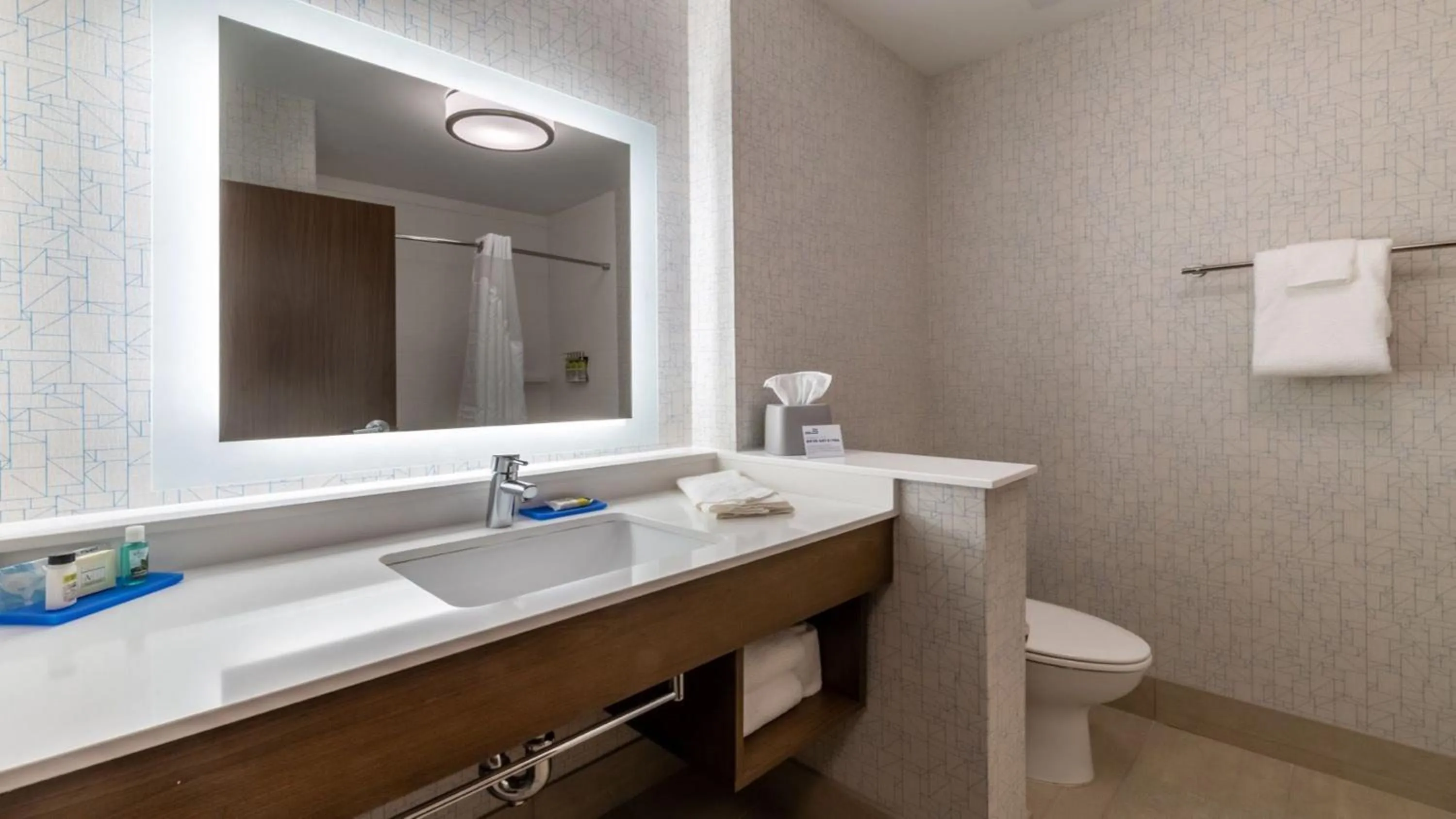 Bathroom in Holiday Inn Express & Suites - Marion by IHG