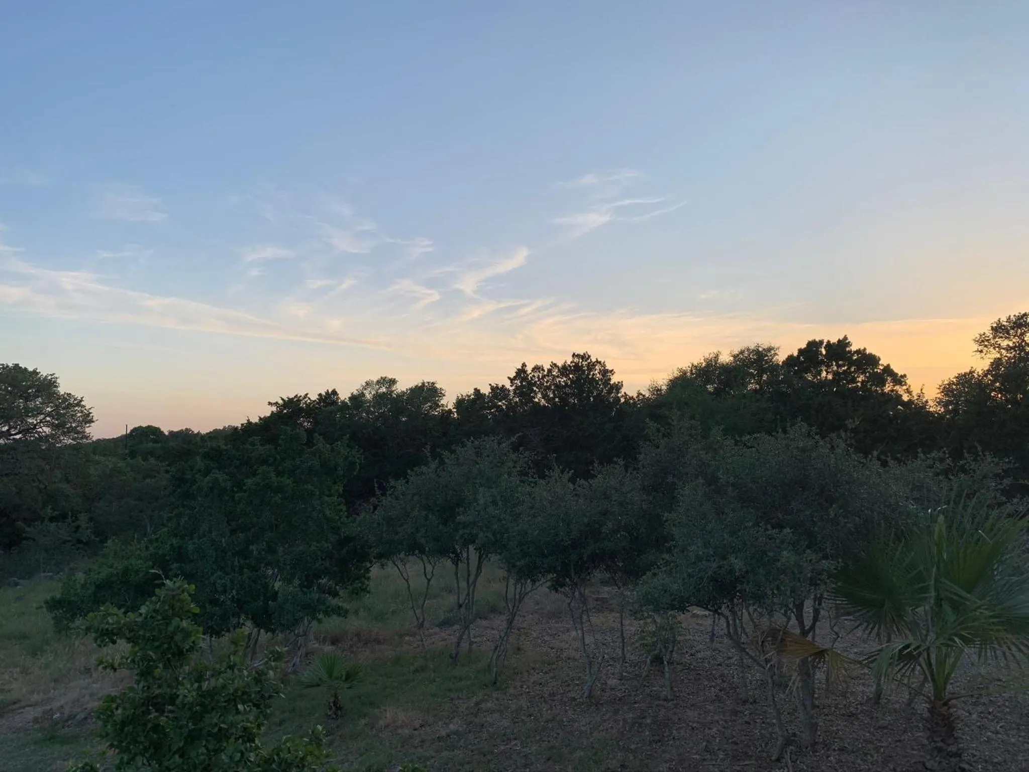 Scenic Hill Country Retreat - Rhino Ranch