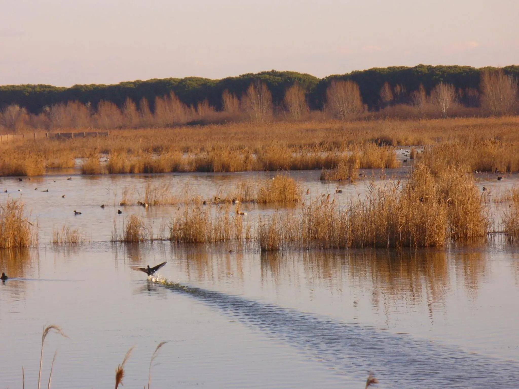Other in Hotel Catto Suisse