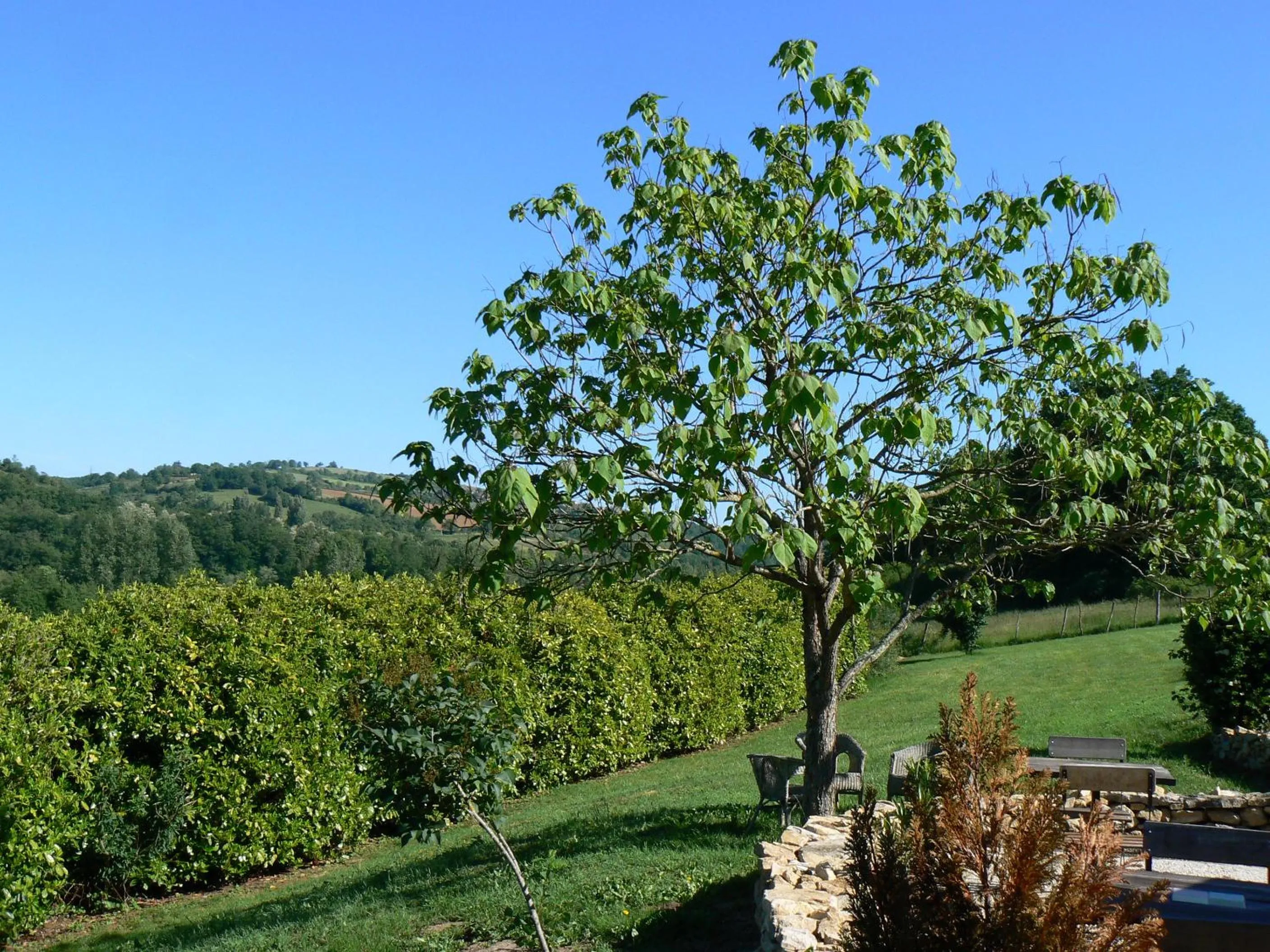 Garden in Hotel La Bastie d'Urfé