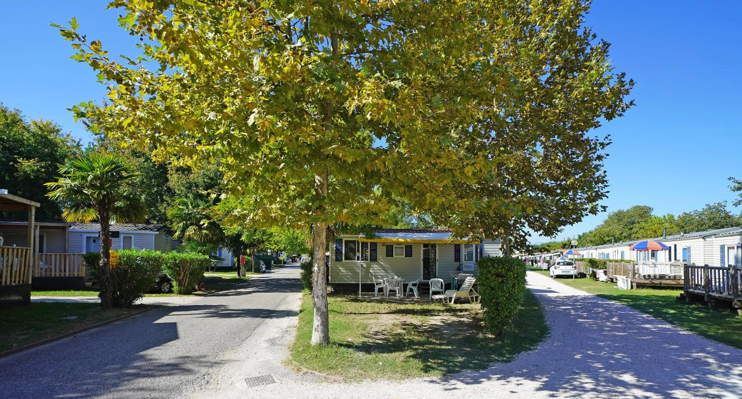 Camping Village Butterfly