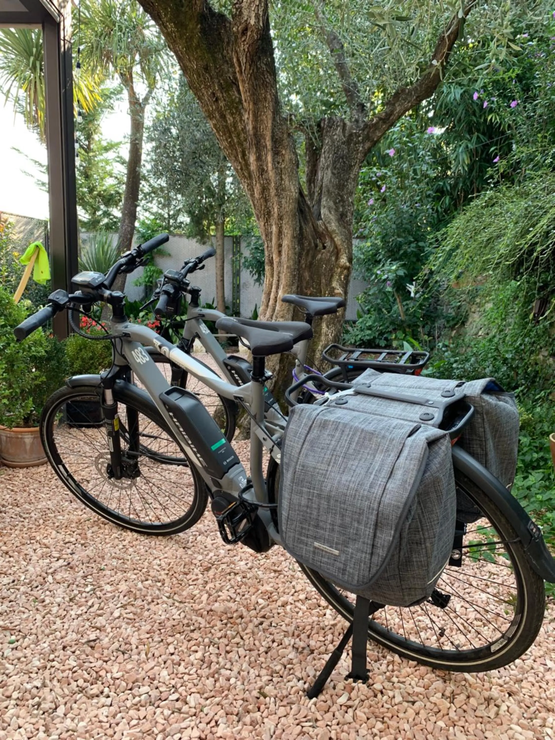 Cycling in Borgata Cantone Country House B&B