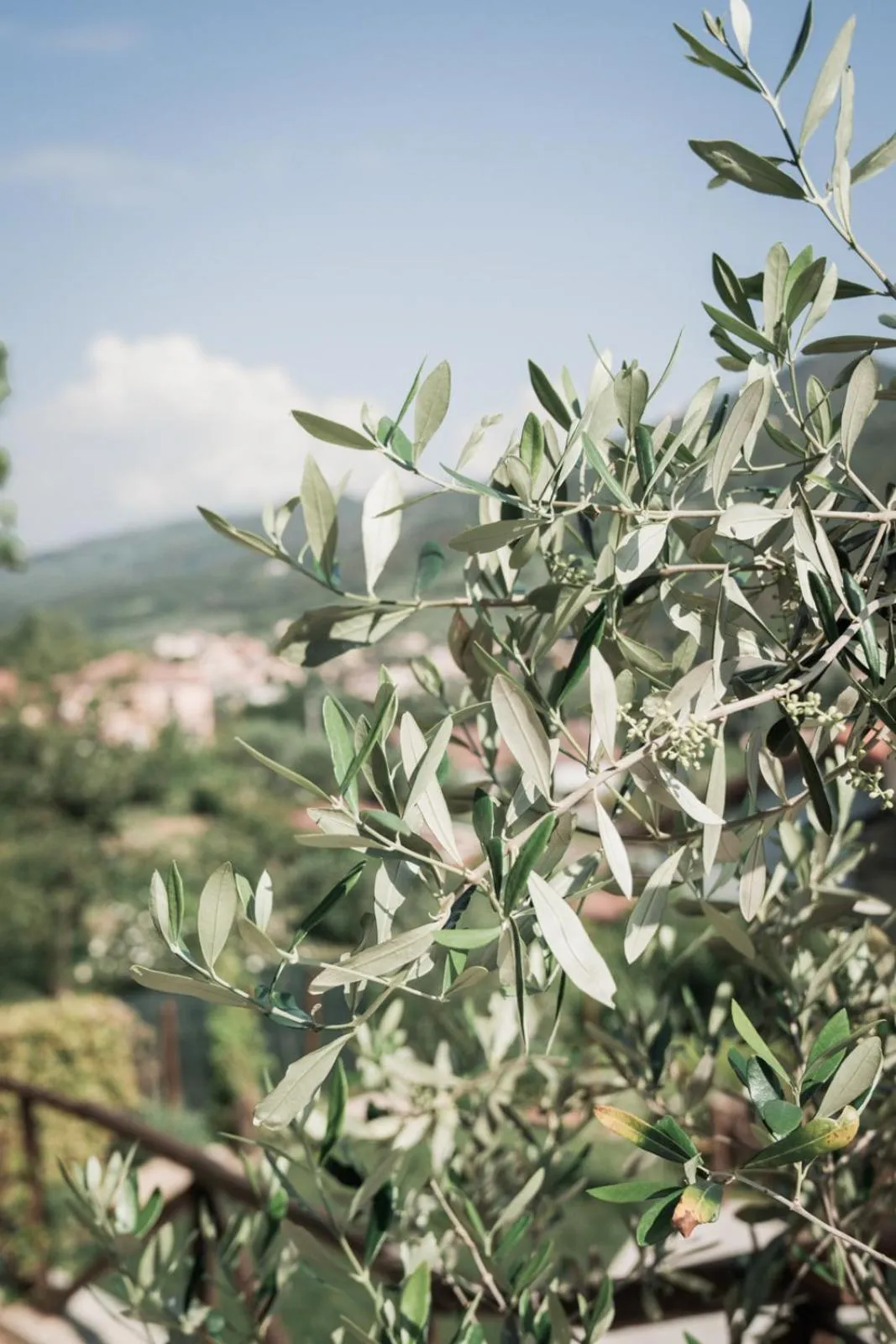 Day in Borgata Cantone Country House B&B