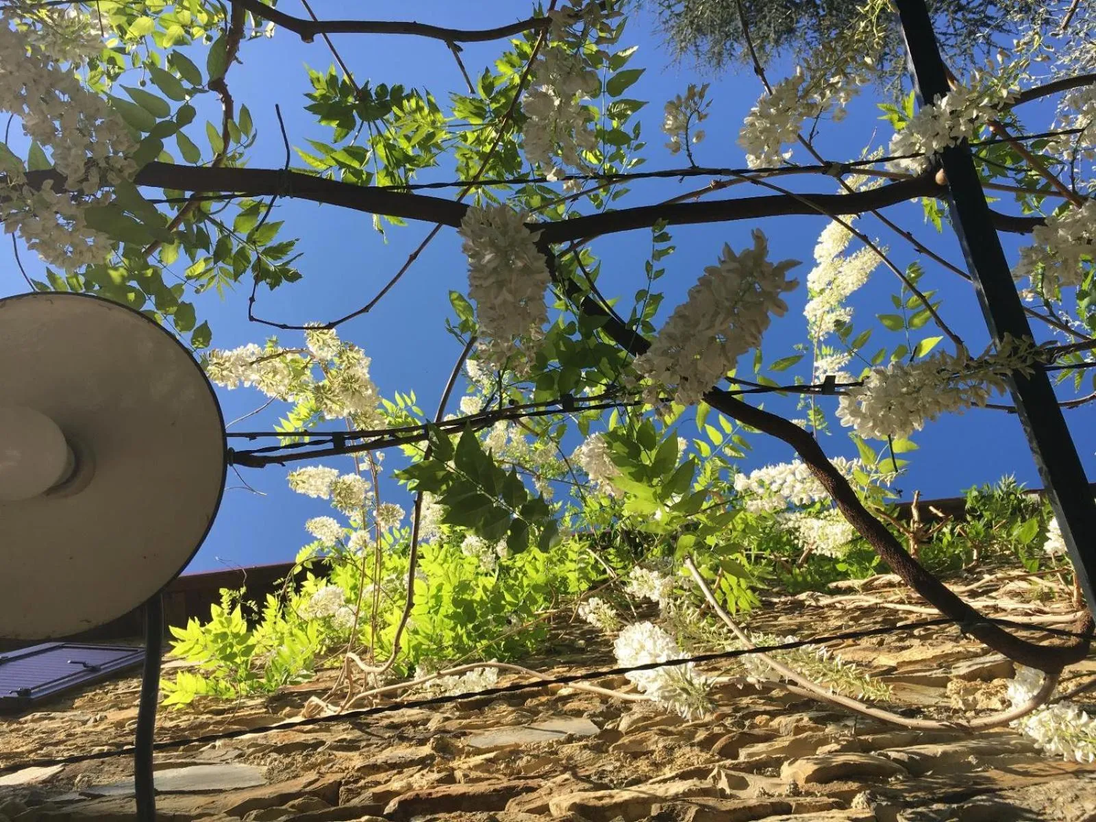 Spring in Borgata Cantone Country House B&B