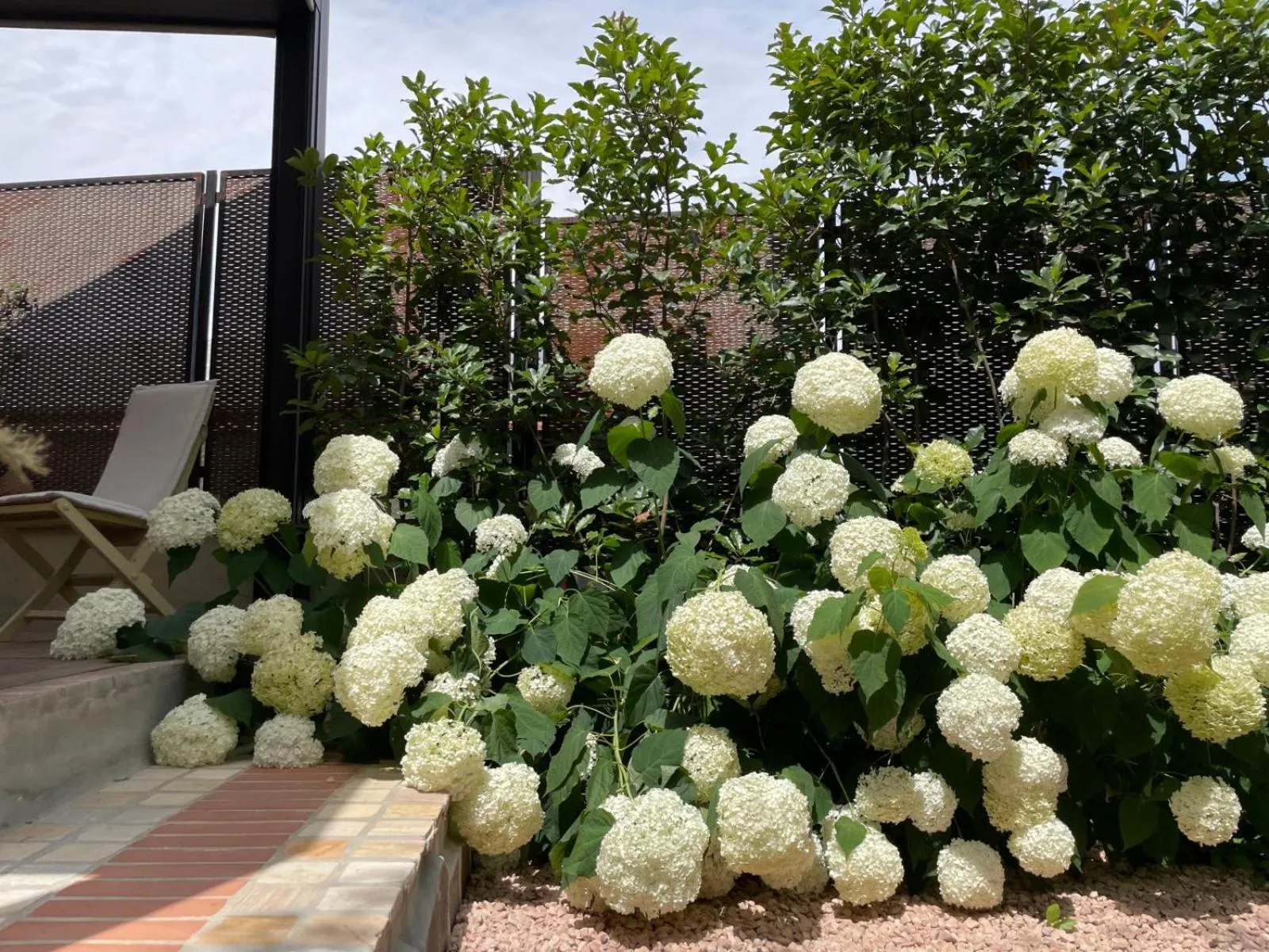 Garden in Borgata Cantone Country House B&B