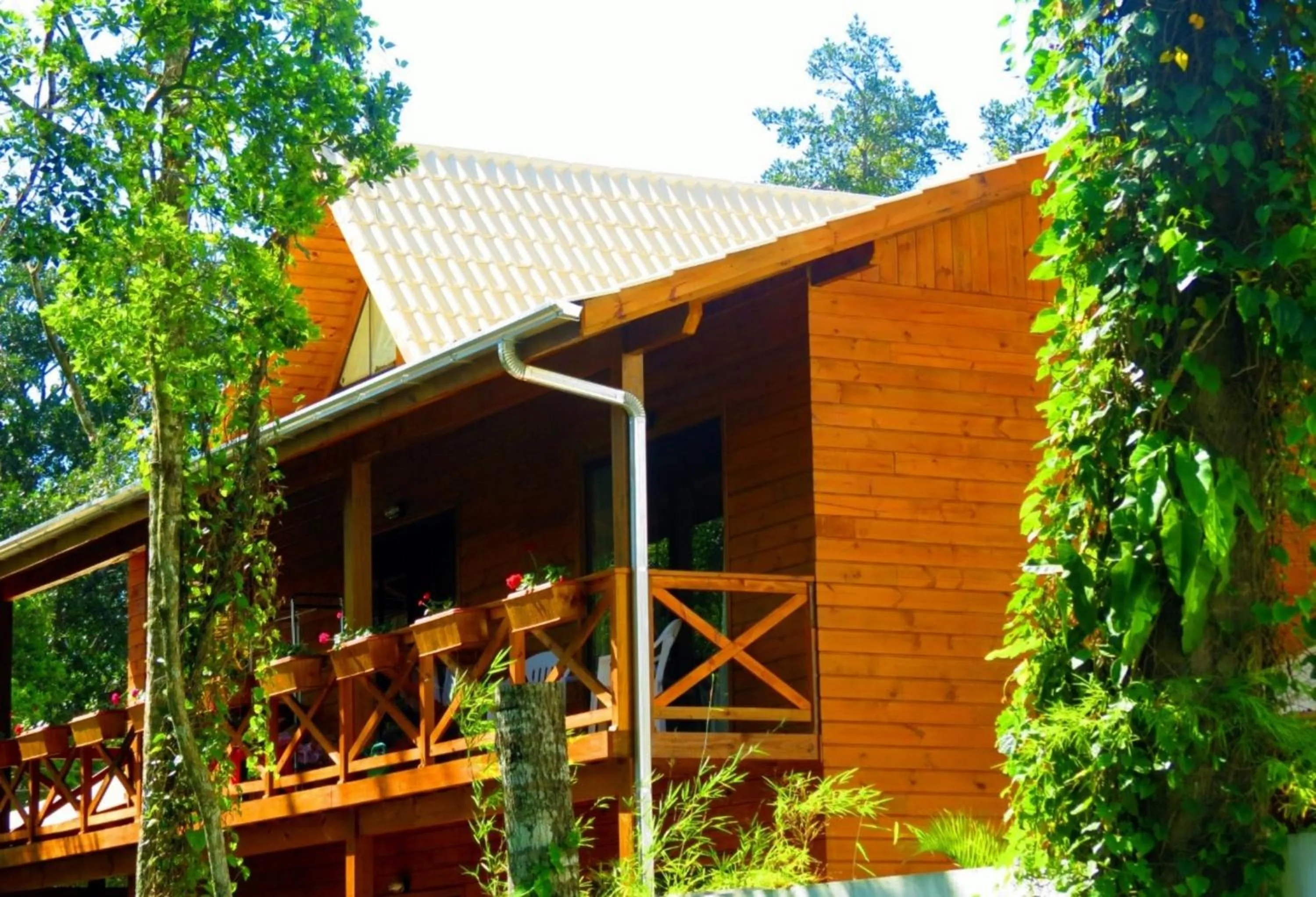 Property building in Pousada Chalé Suiço Bombinhas