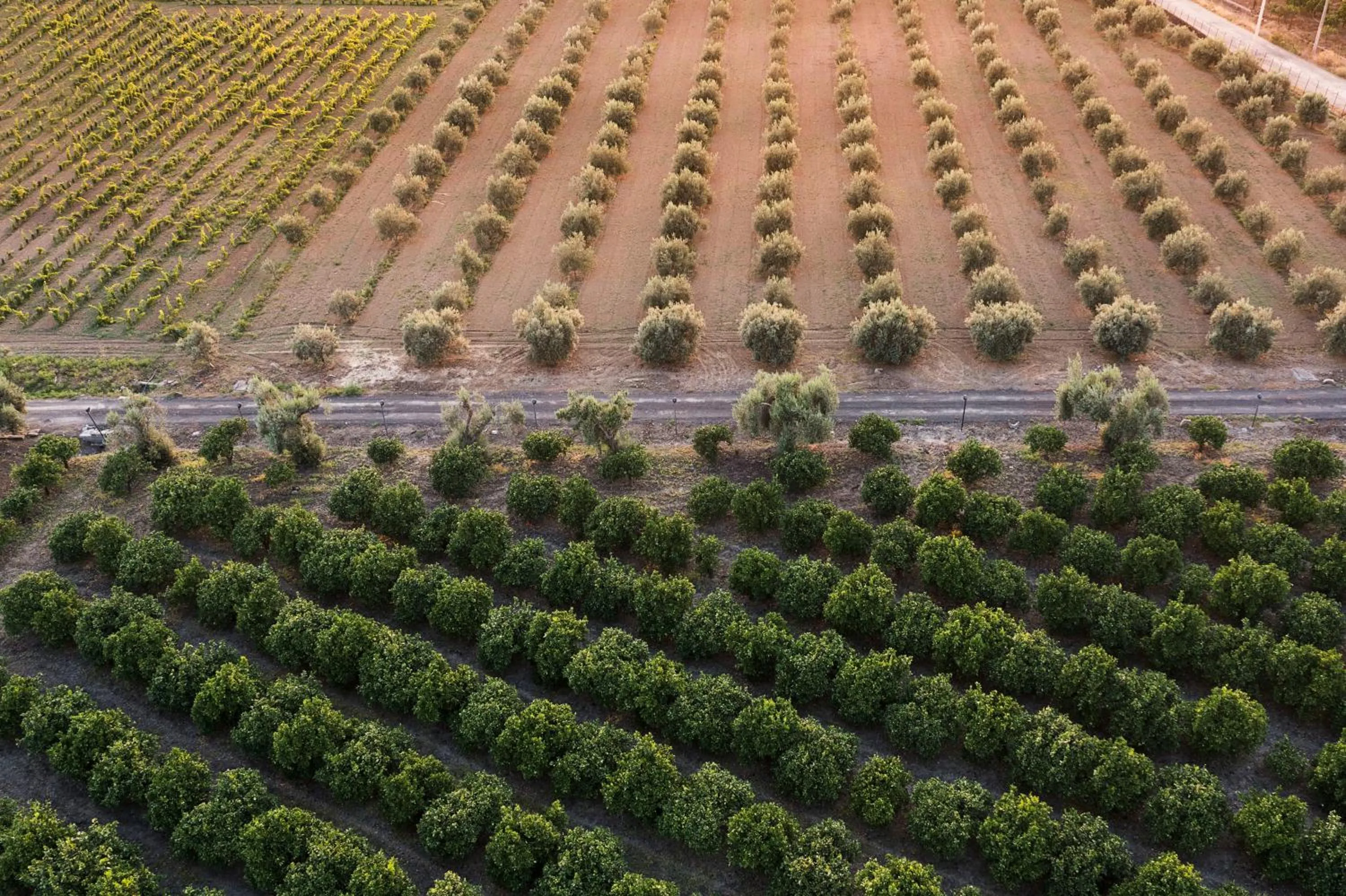 Garden in Nèroli Bio Relais
