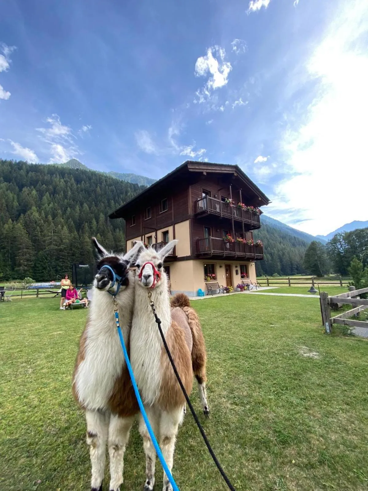 Property building in Villa Americana Chambres d'Hotes