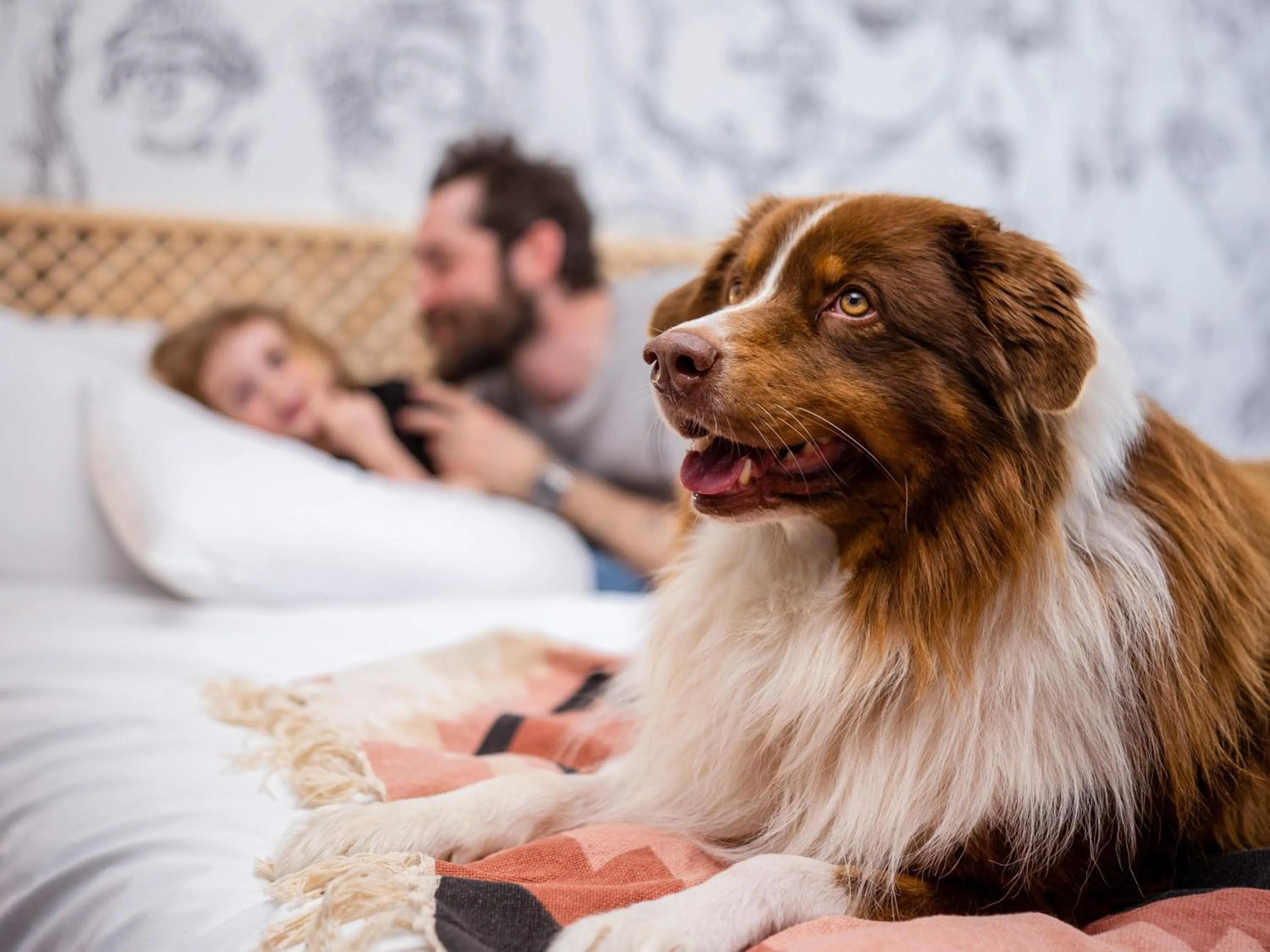 Bedroom in Mercure Reims Parc Des Expositions