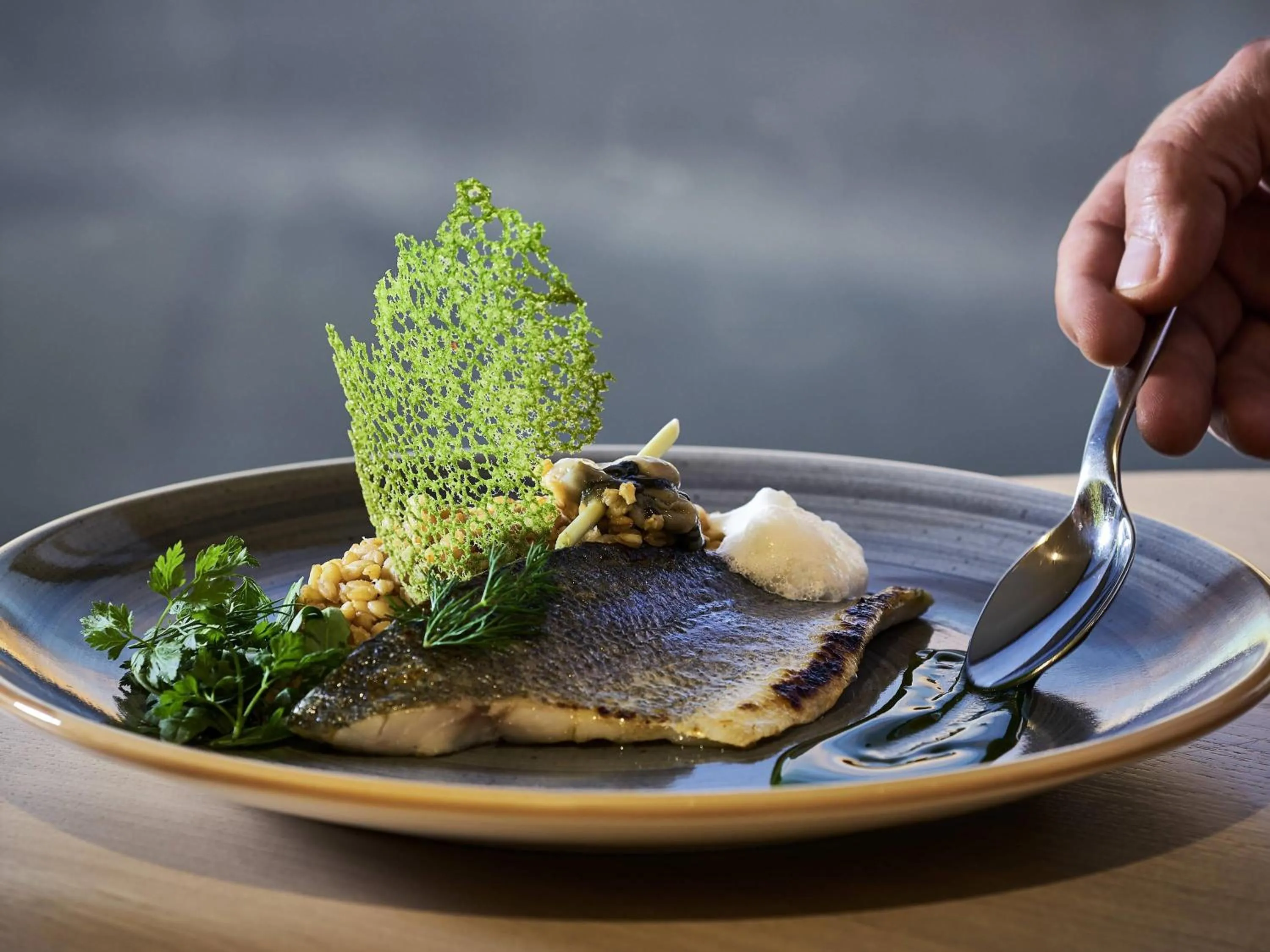 Restaurant/places to eat in Novotel Thalassa Le Touquet