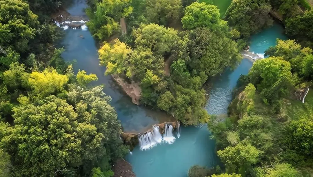 Nearby landmark in Hotel Palazzo Renieri - 3stelle S
