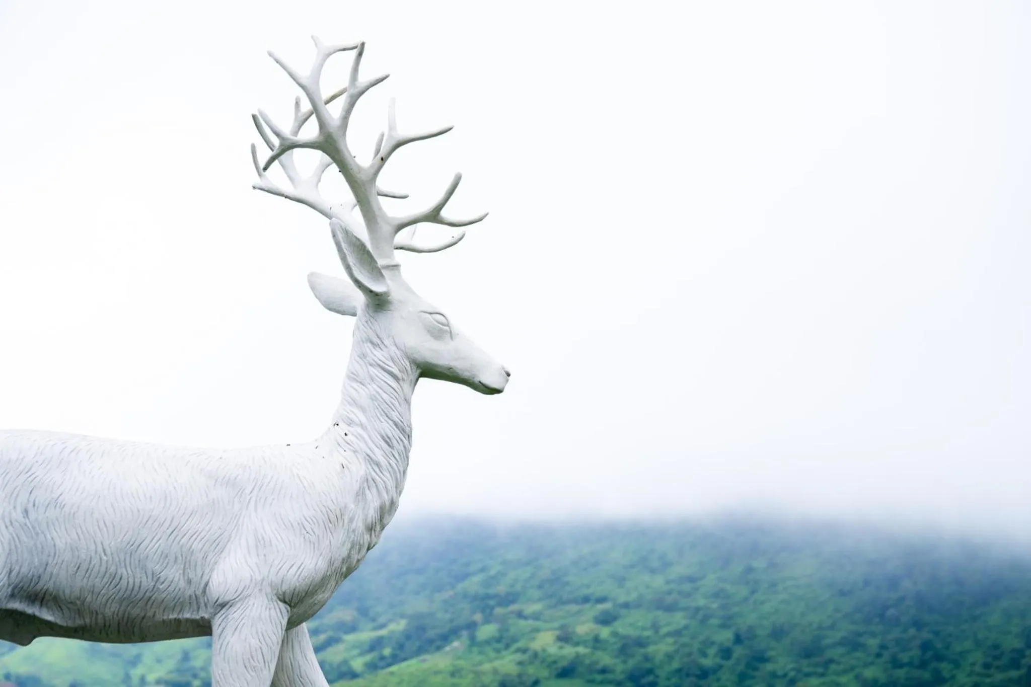 Natural landscape in Grand Kokkod Khao Kho Resort