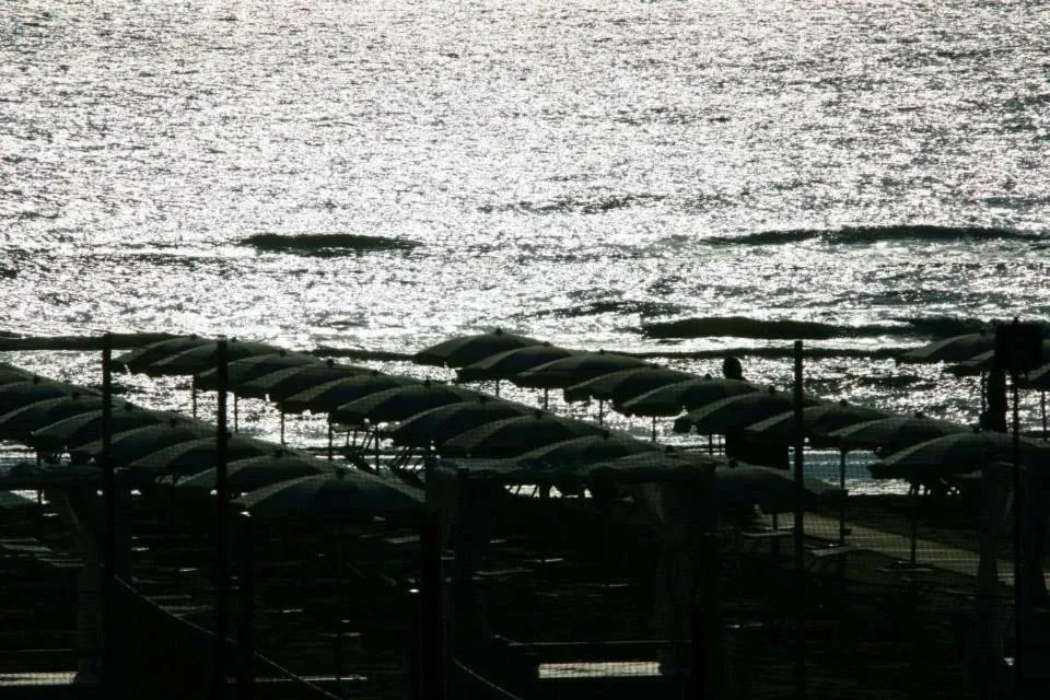 Beach in Hotel Sedonia