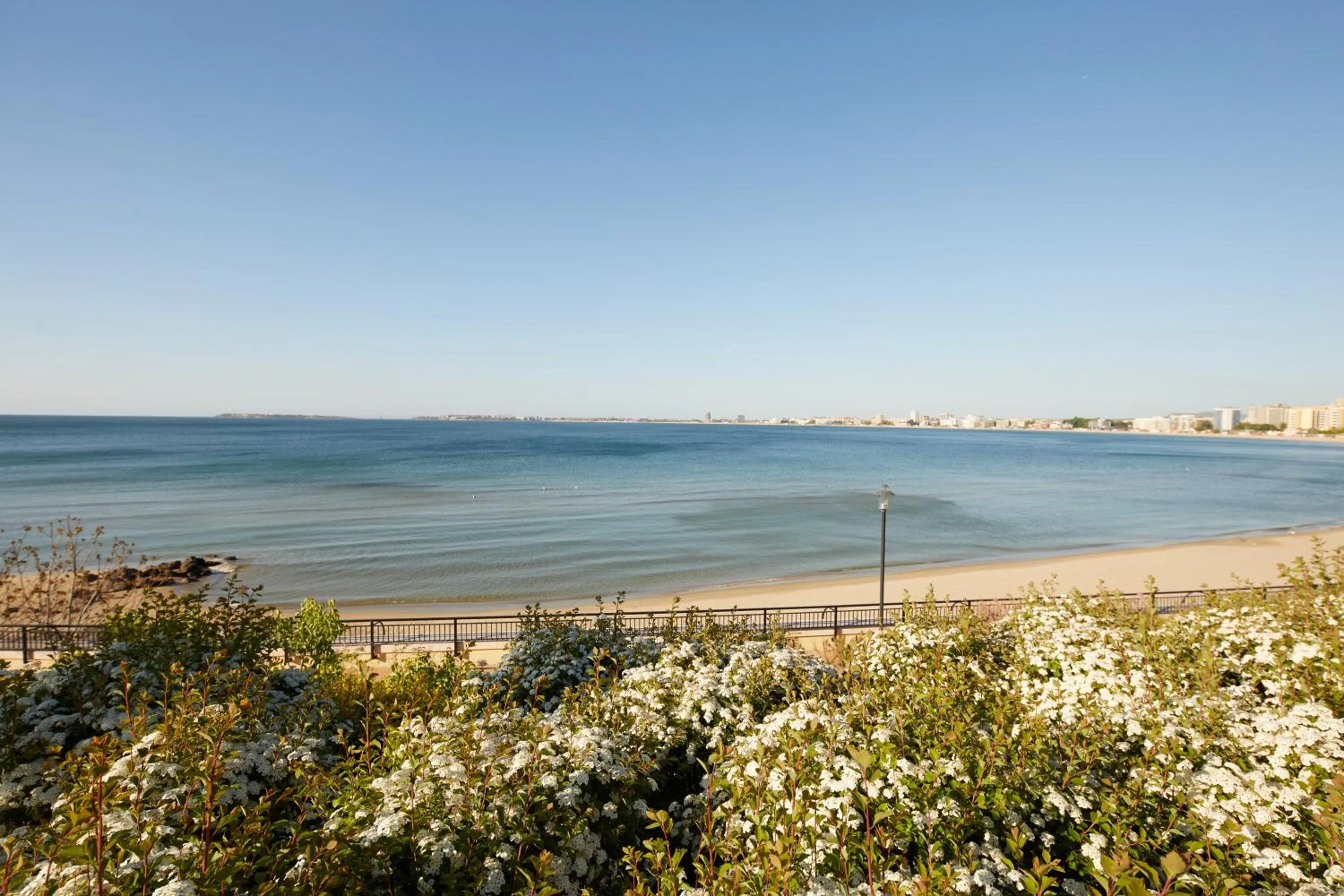 Sea view in Dreams Sunny Beach Resort and Spa - Premium All Inclusive