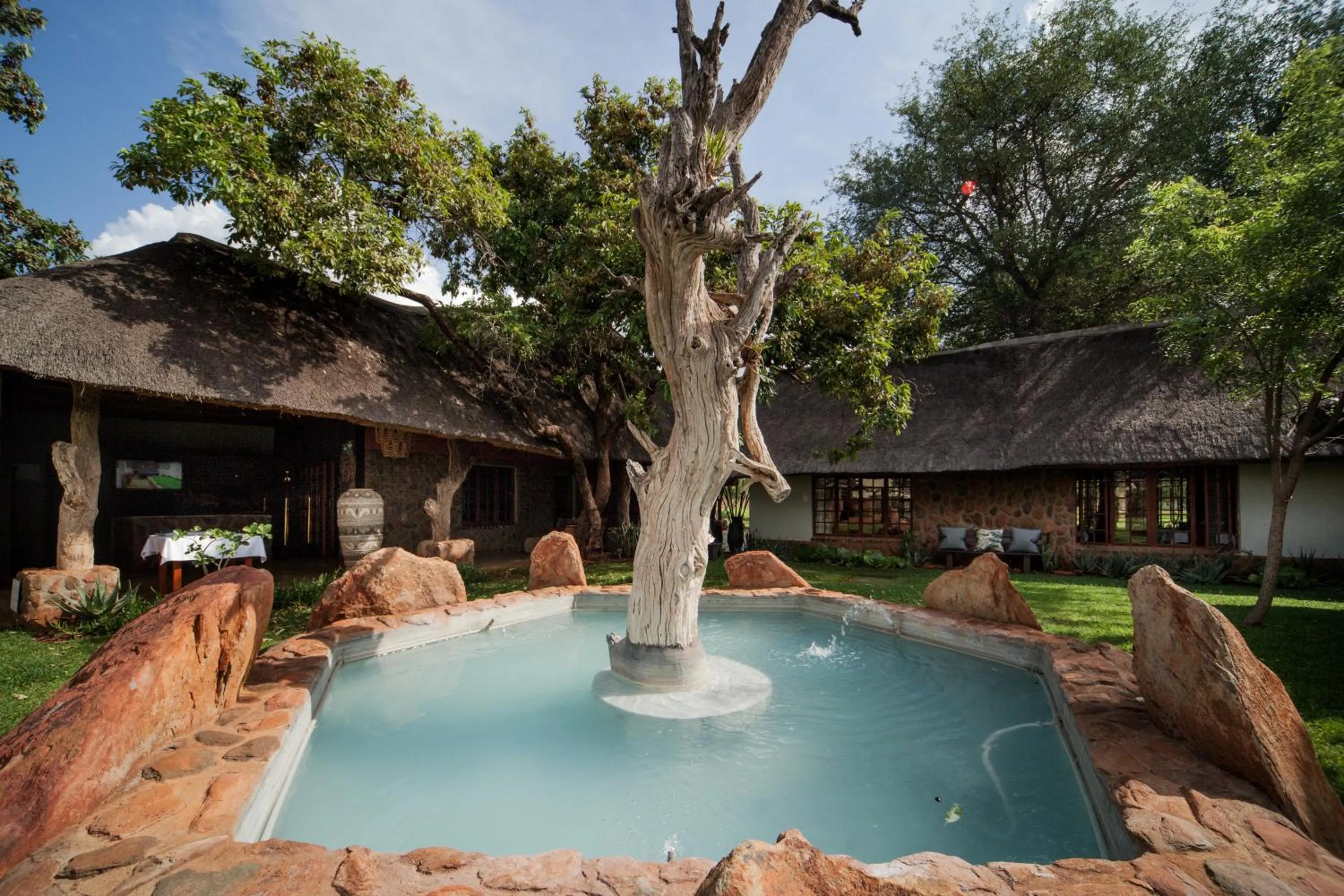 Garden in Kilima Private Game Reserve & Spa