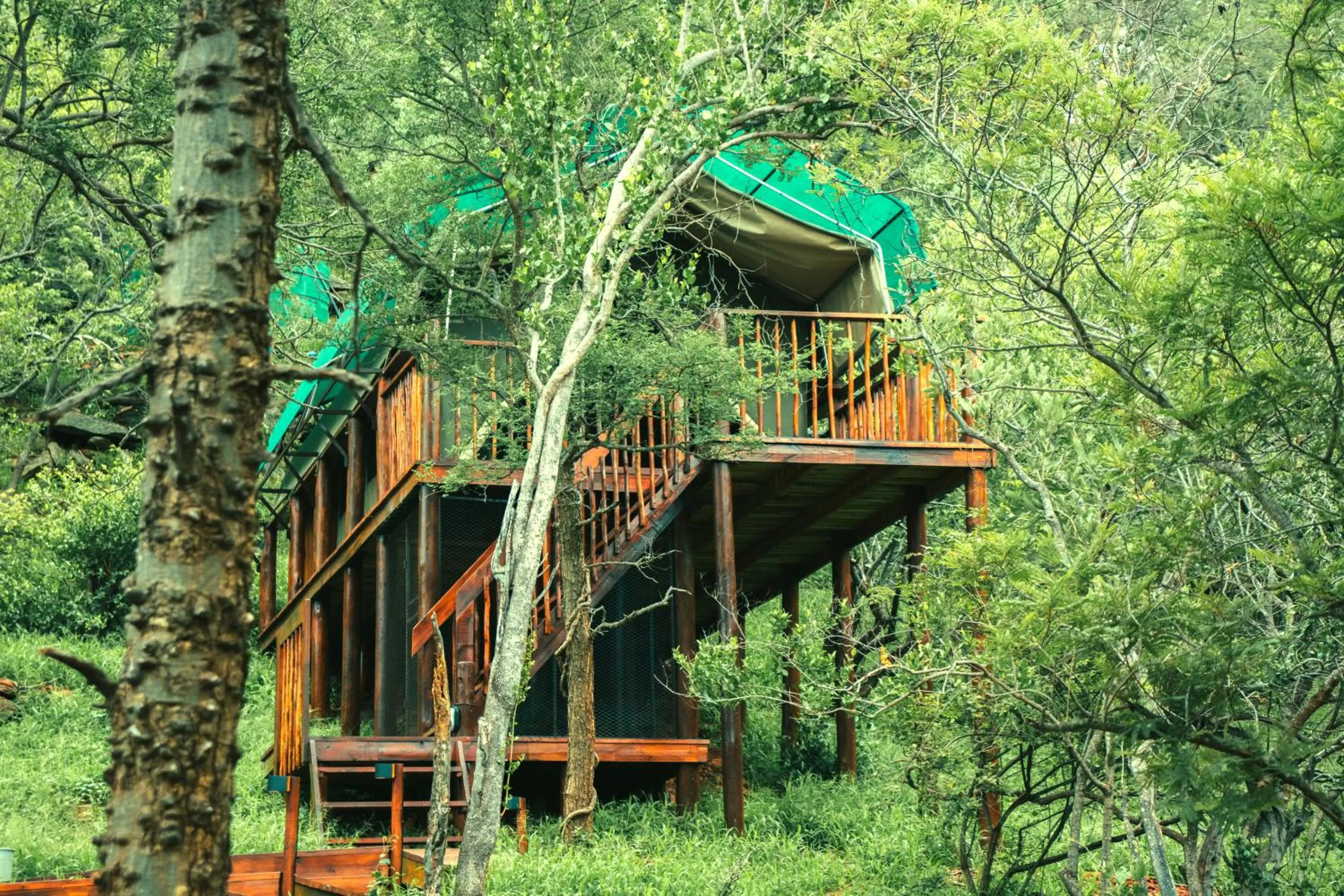 Property building in Kilima Private Game Reserve & Spa