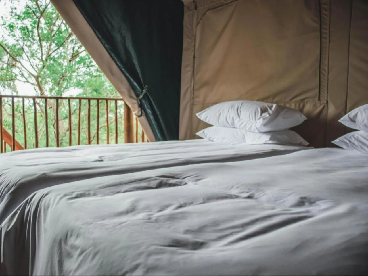 Bed in Kilima Private Game Reserve & Spa