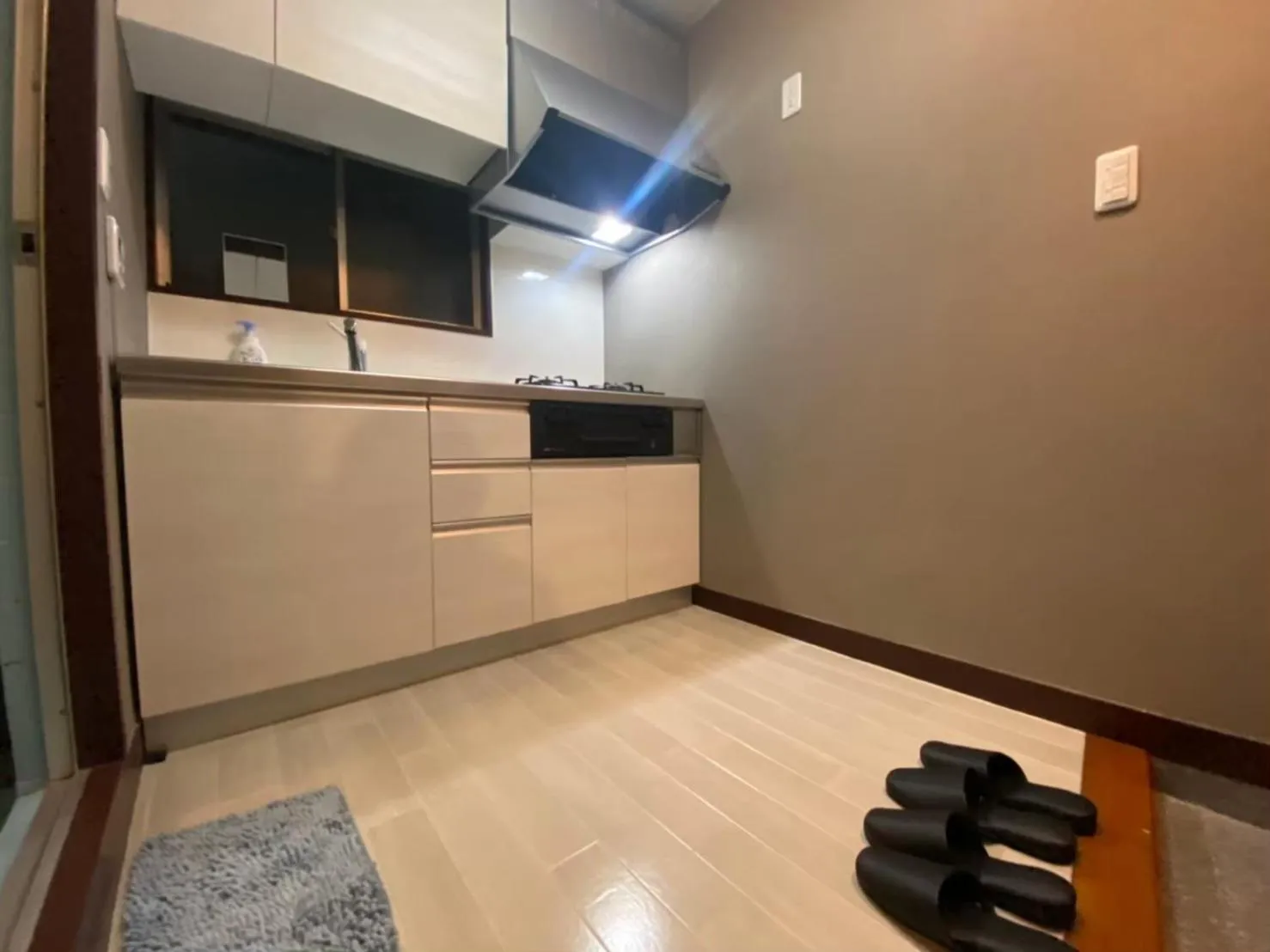 Ikebukuro Apartment