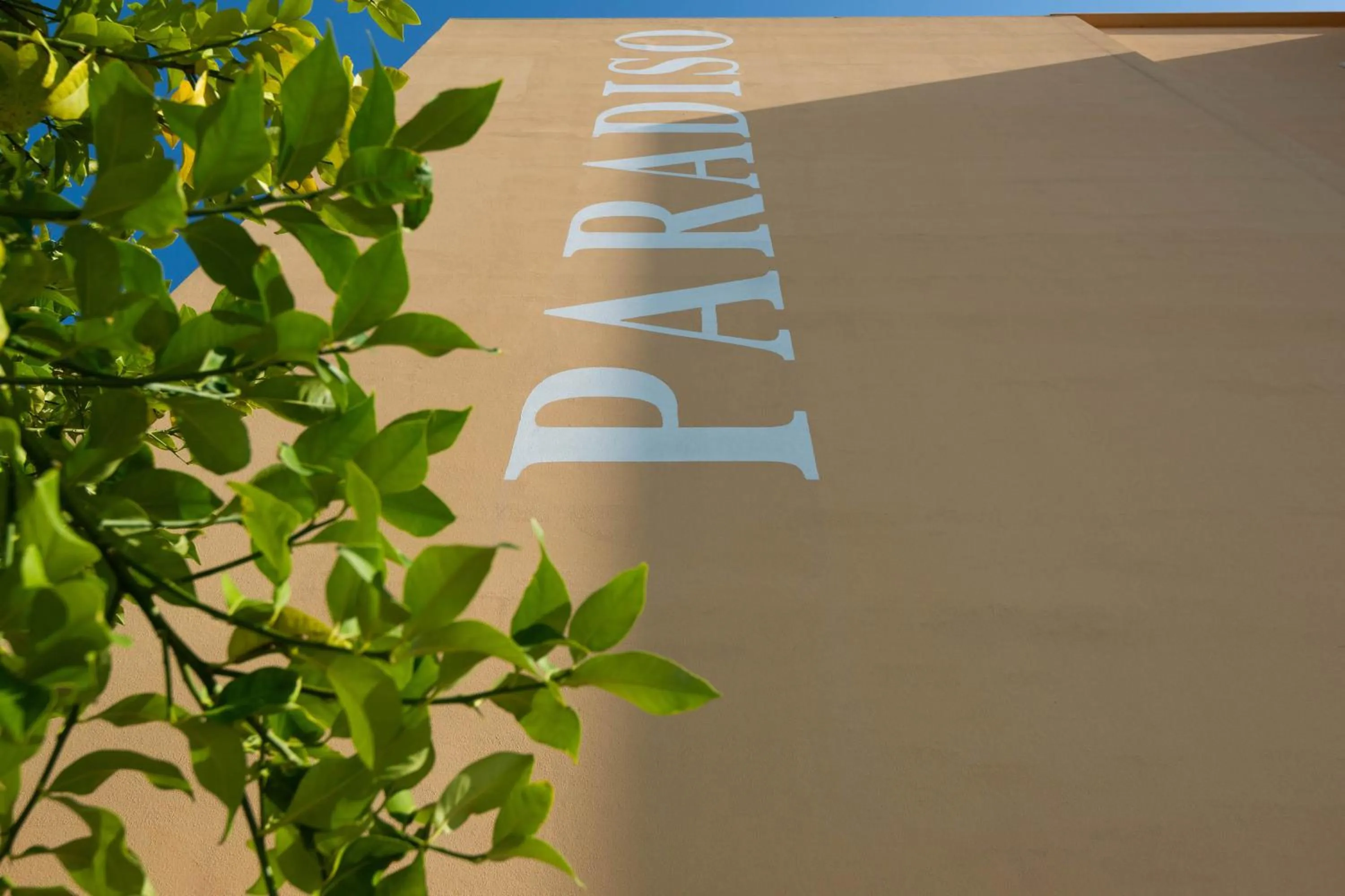 Property building in Hotel Paradiso