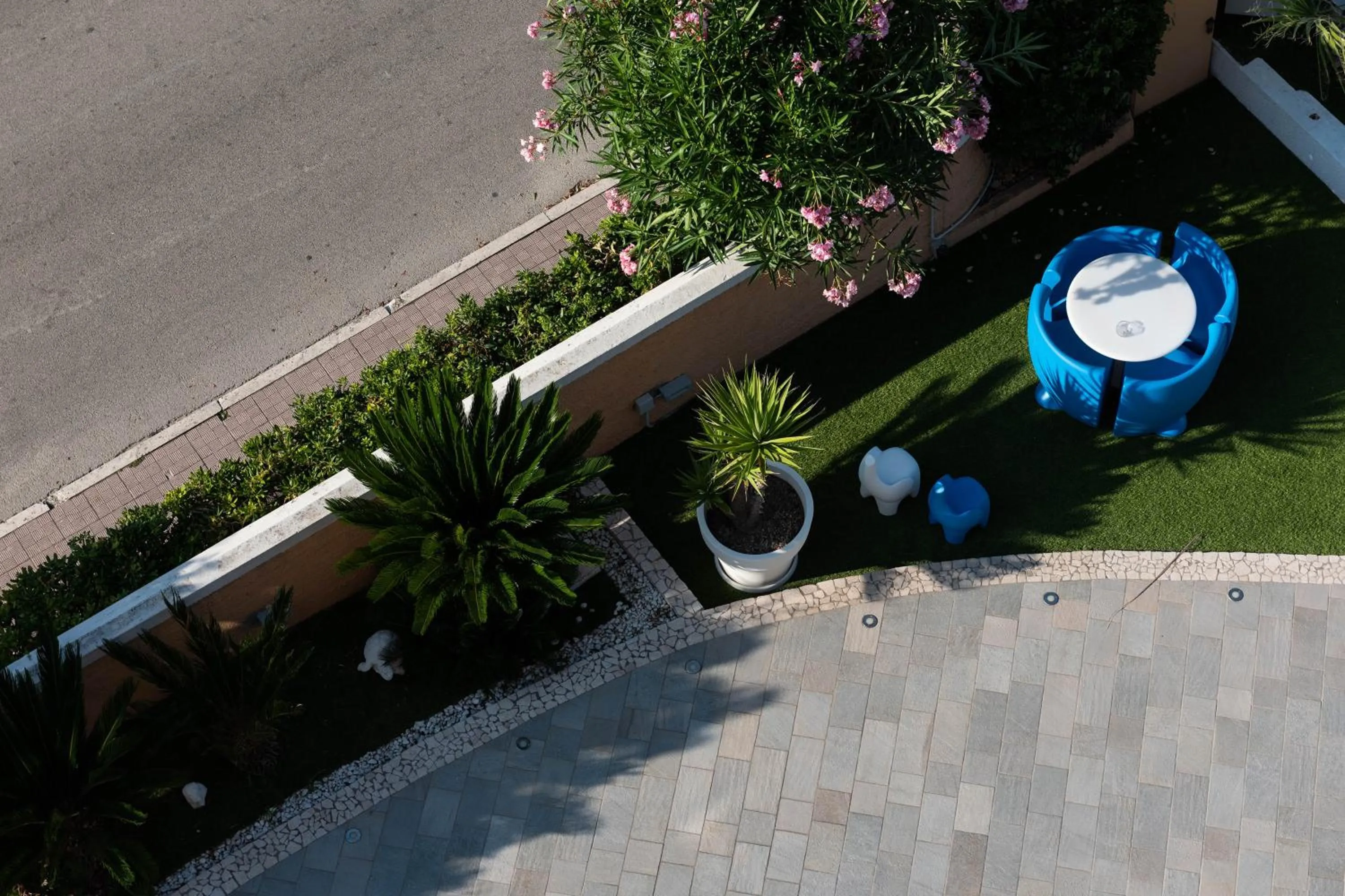 Garden in Hotel Paradiso