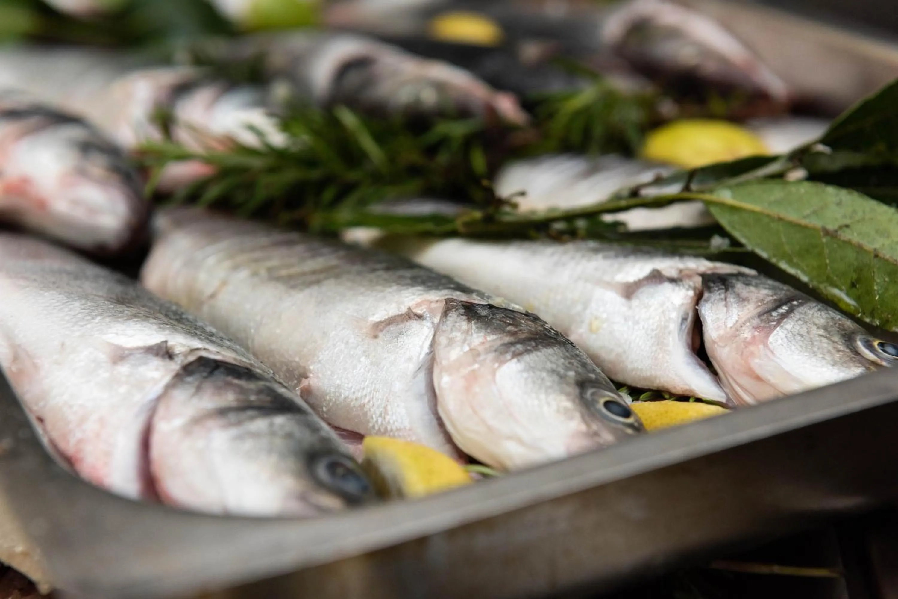 Meals in Hotel Paradiso