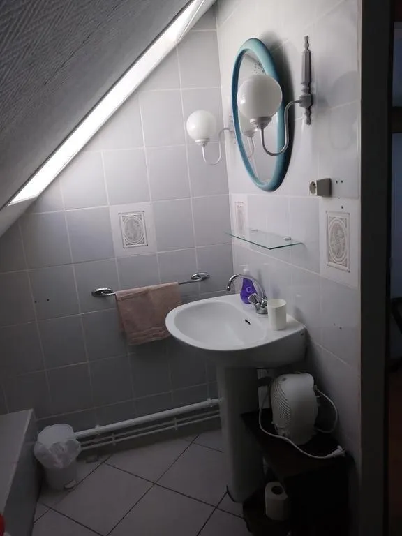 Bathroom in GITE LES HAUTES MOUGONNIERES