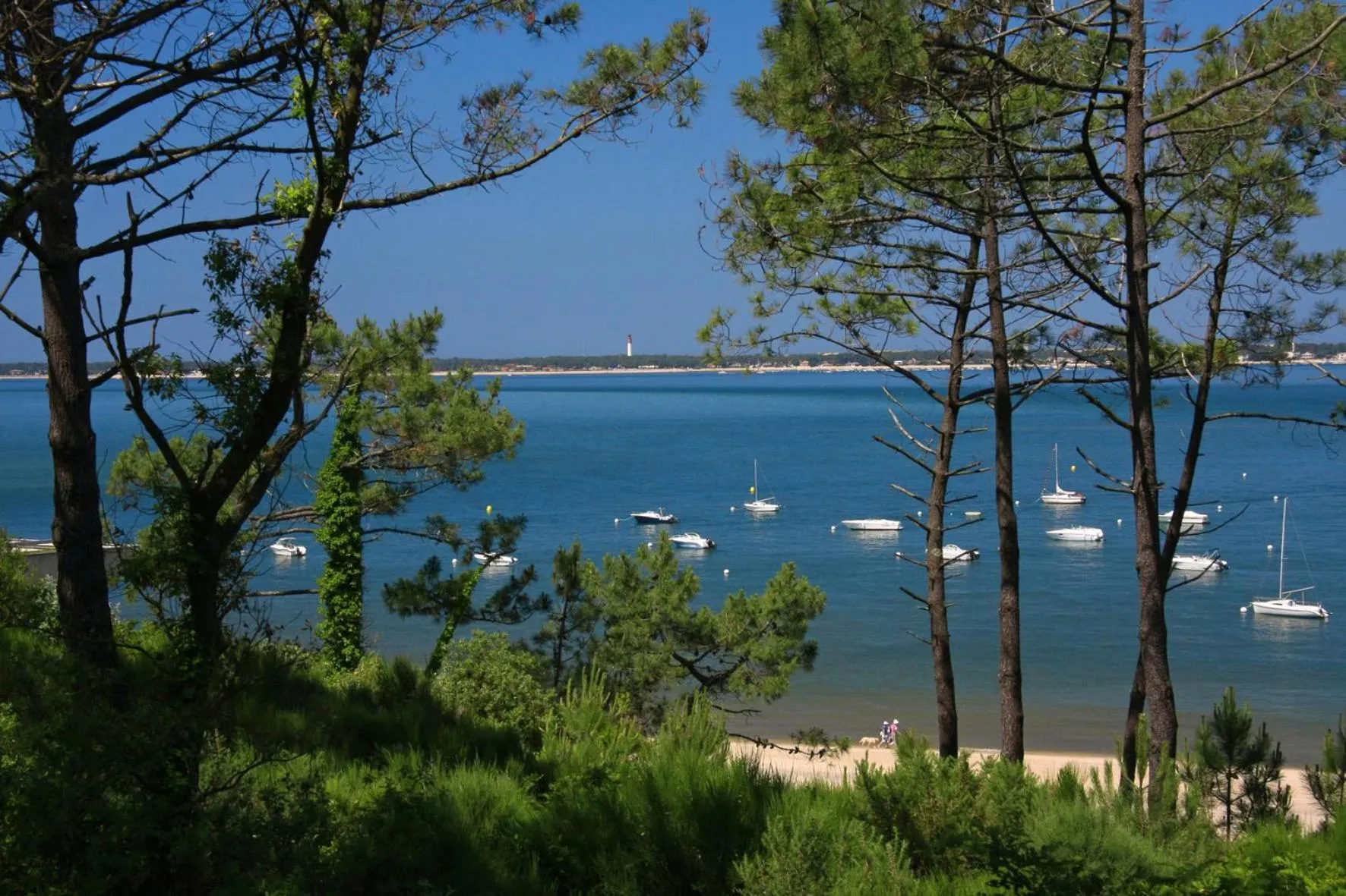 Nearby landmark in Thalazur Arcachon