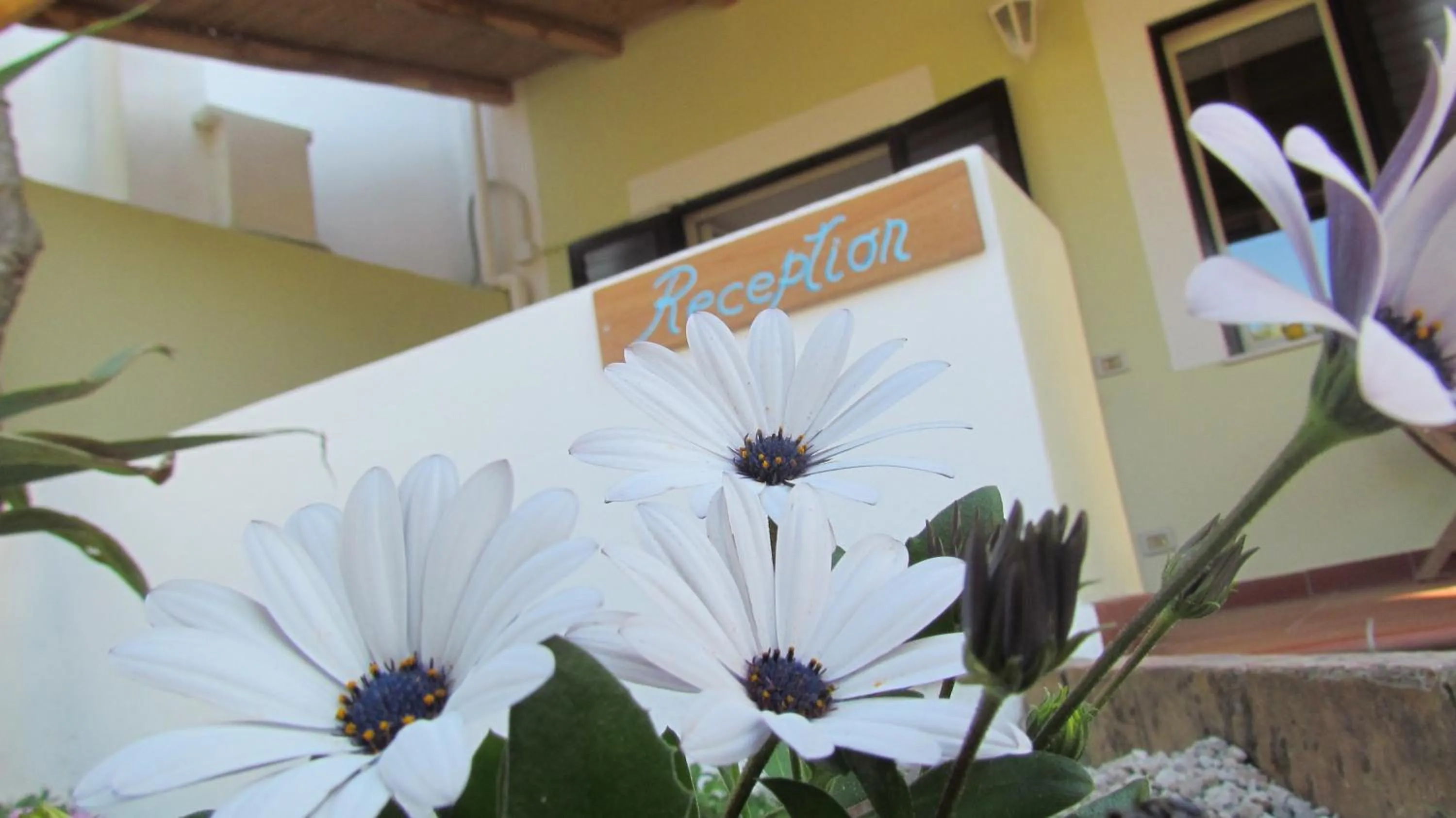 Patio in B&B Il Cappero