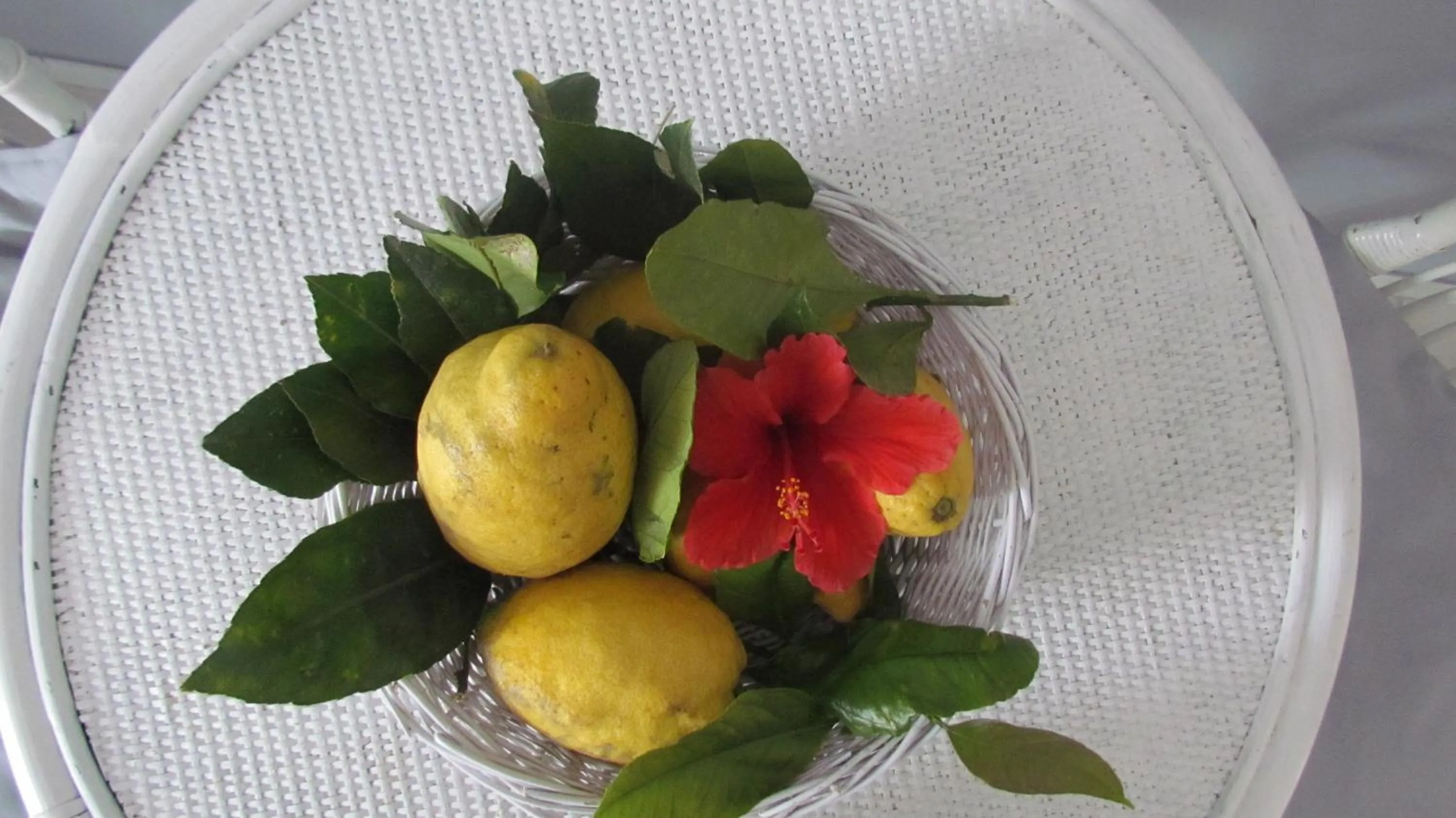 Decorative detail in B&B Il Cappero