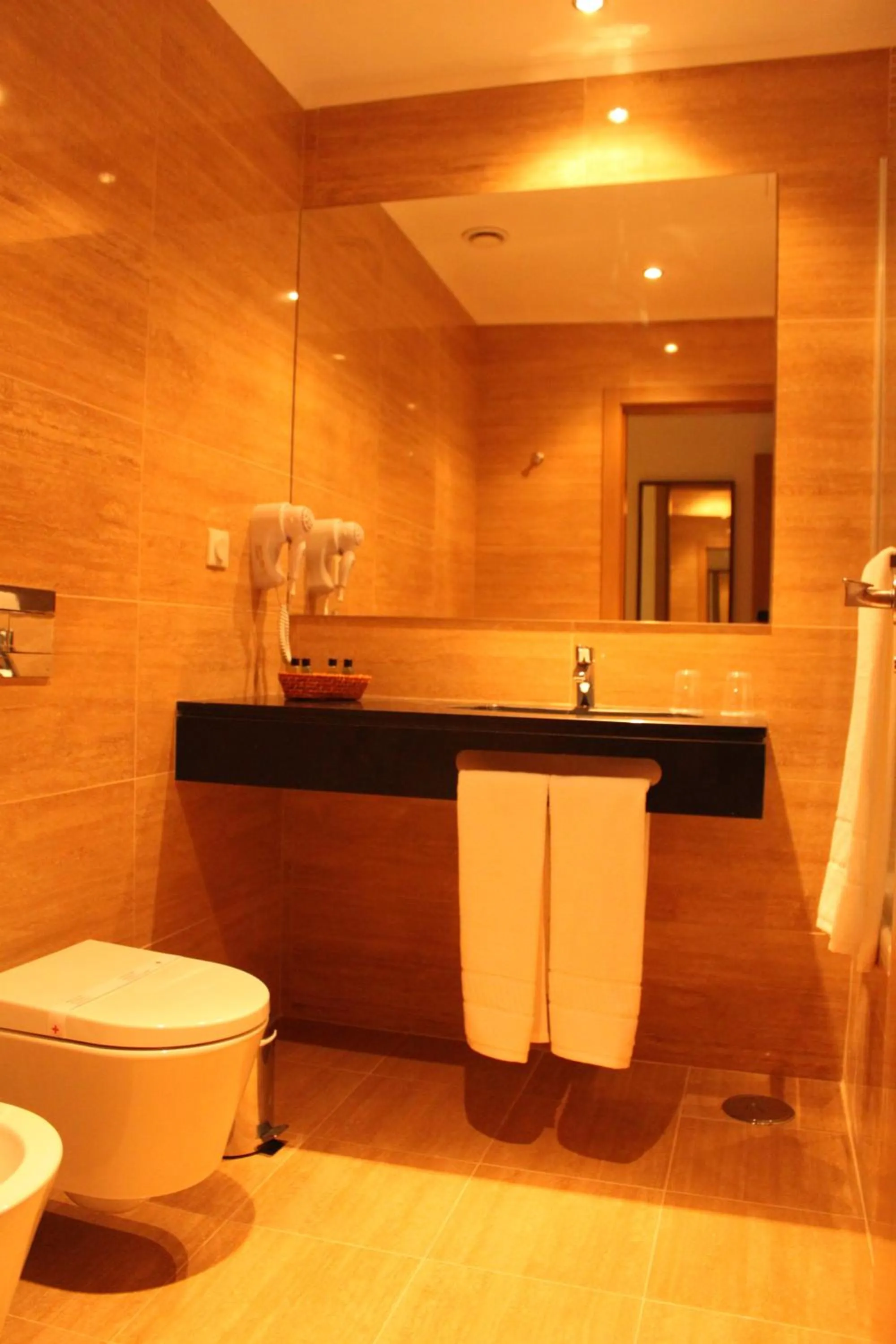 Toilet in Hotel O Gato & Spa