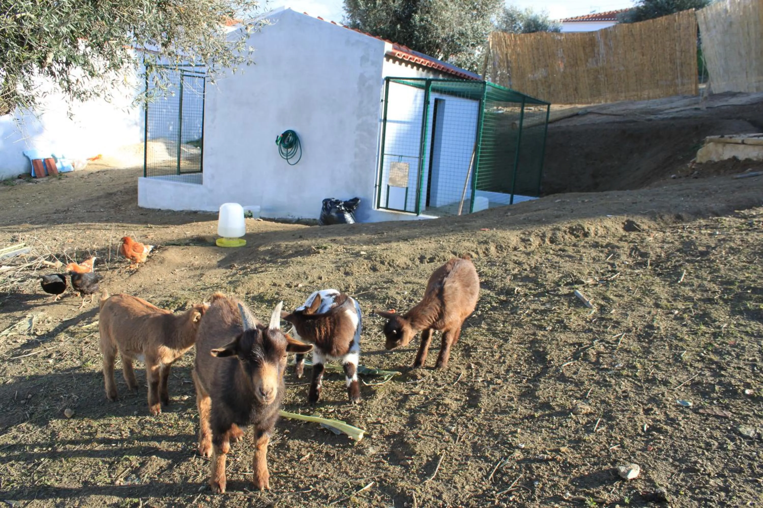 Day in Hotel O Gato & Spa