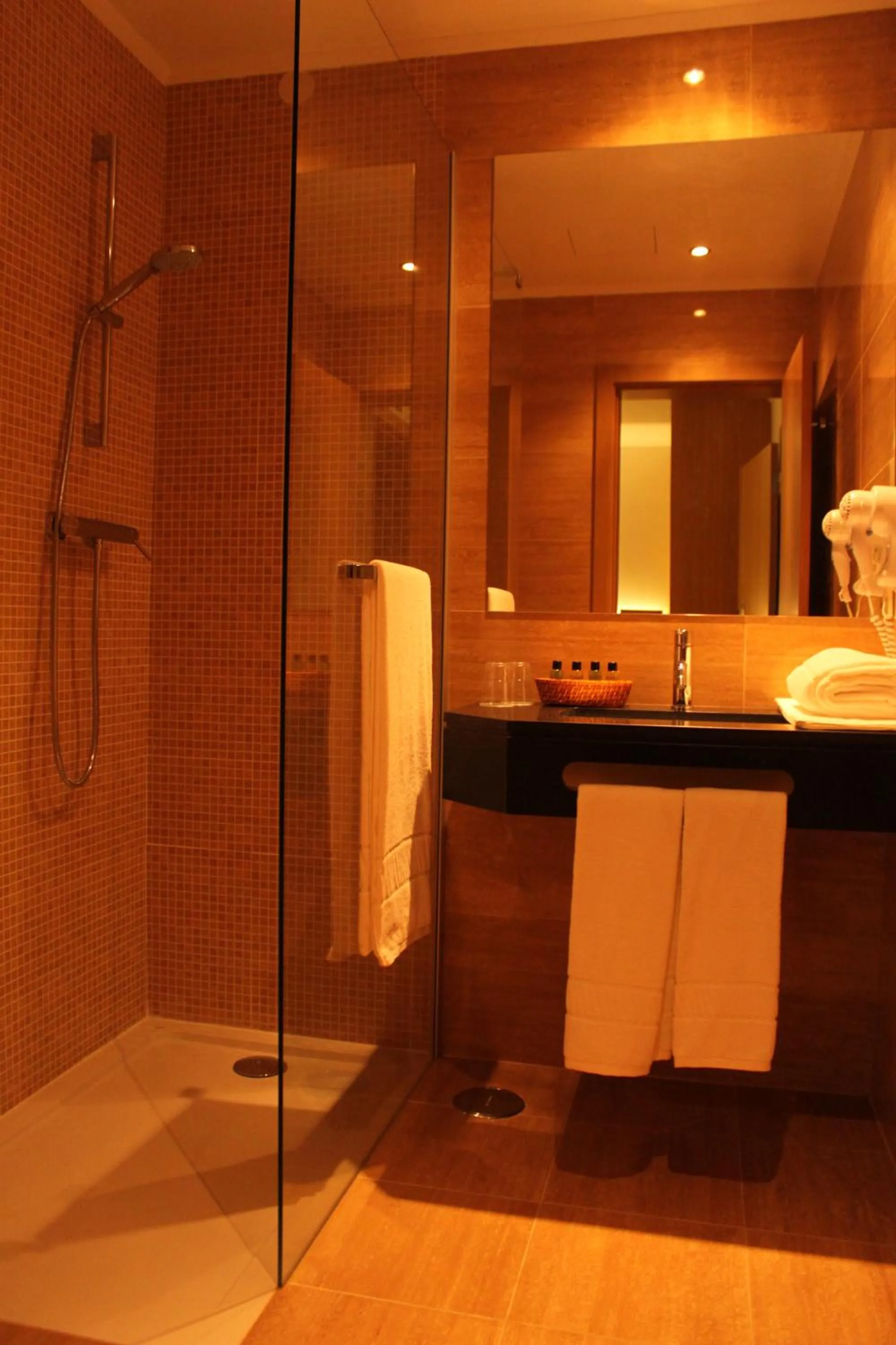 Toilet in Hotel O Gato & Spa