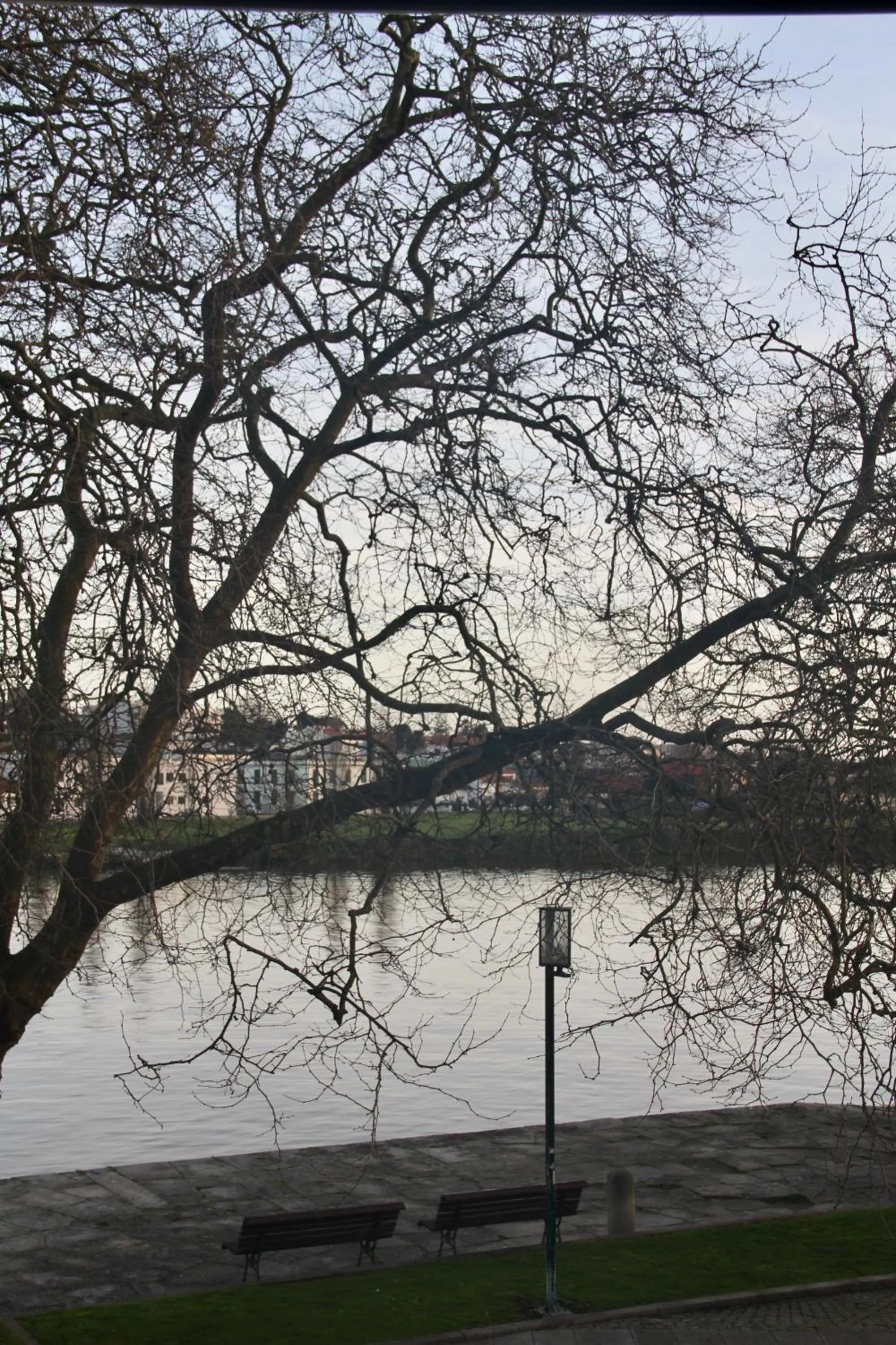 A Rendilheira Charm Suites