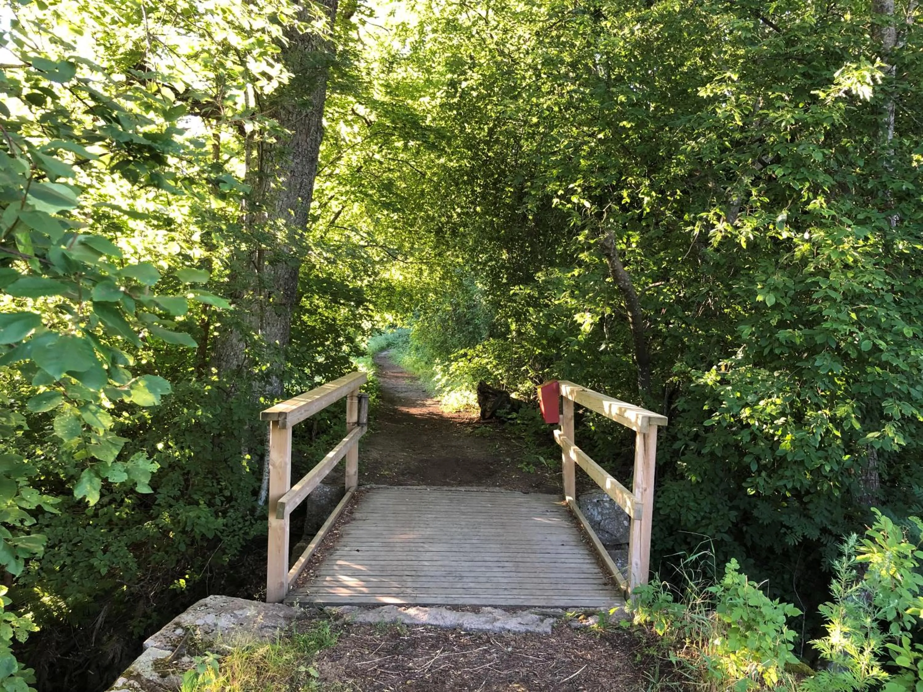 Horse-riding in Backbyn Kartano