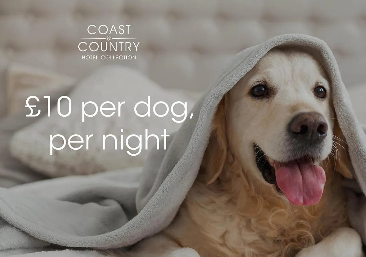 Pets in The County Hotel