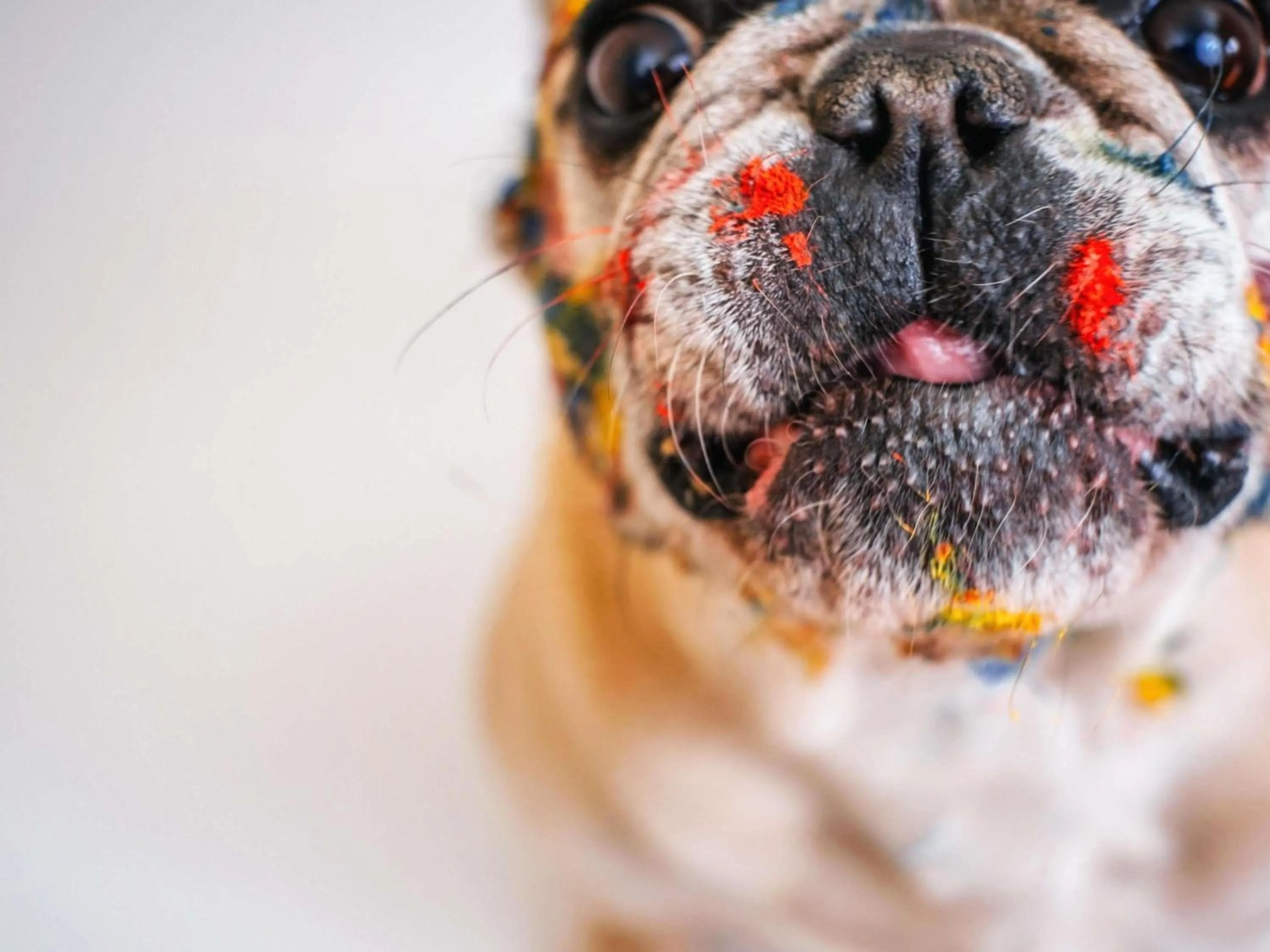 Other in ibis Styles Tours Sud