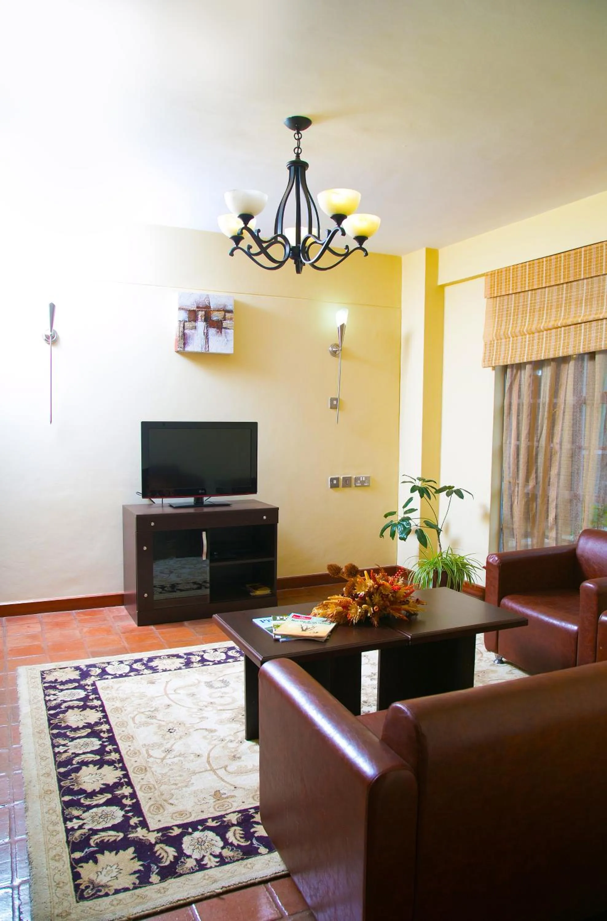 TV and multimedia in Batians Apartment Hotel