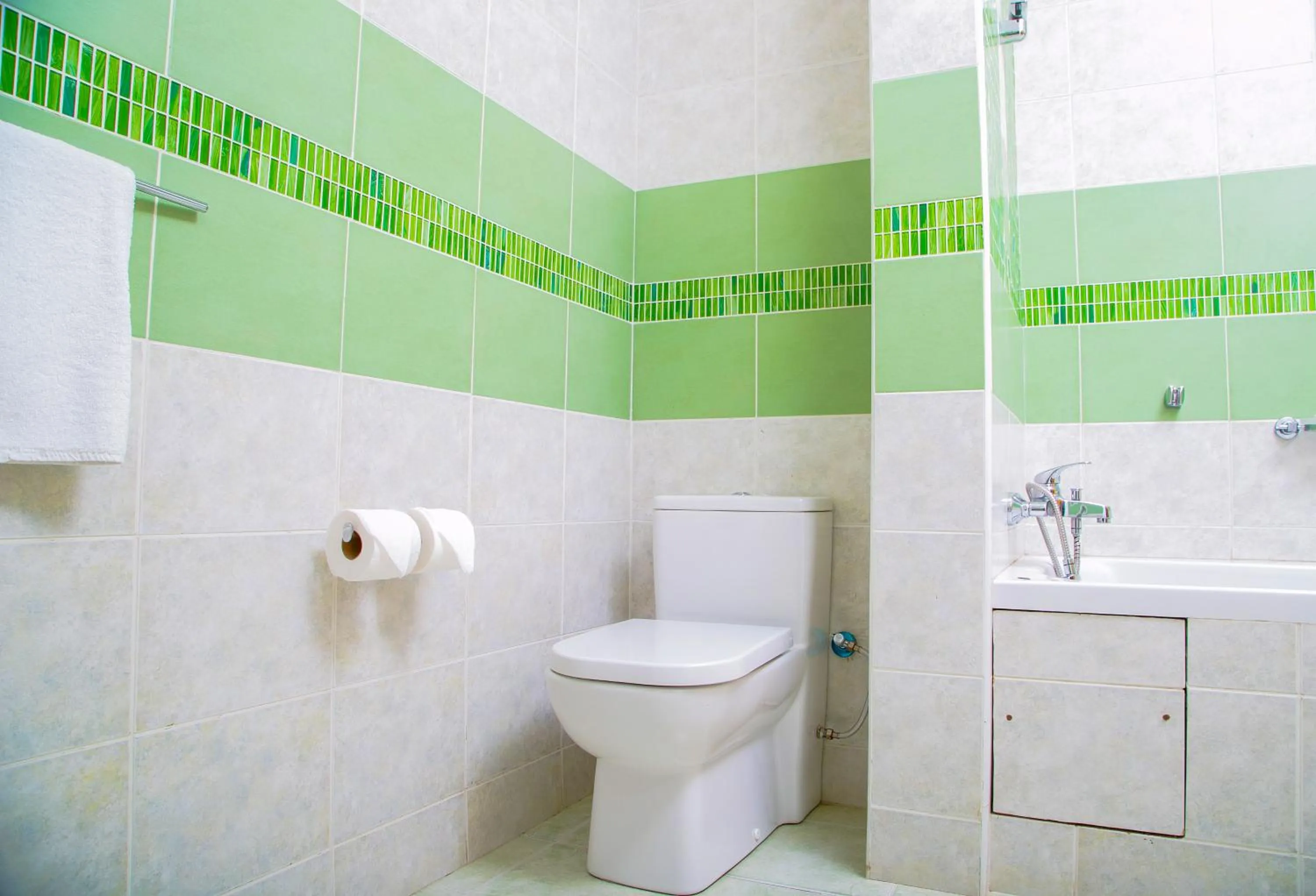 Toilet in Batians Apartment Hotel