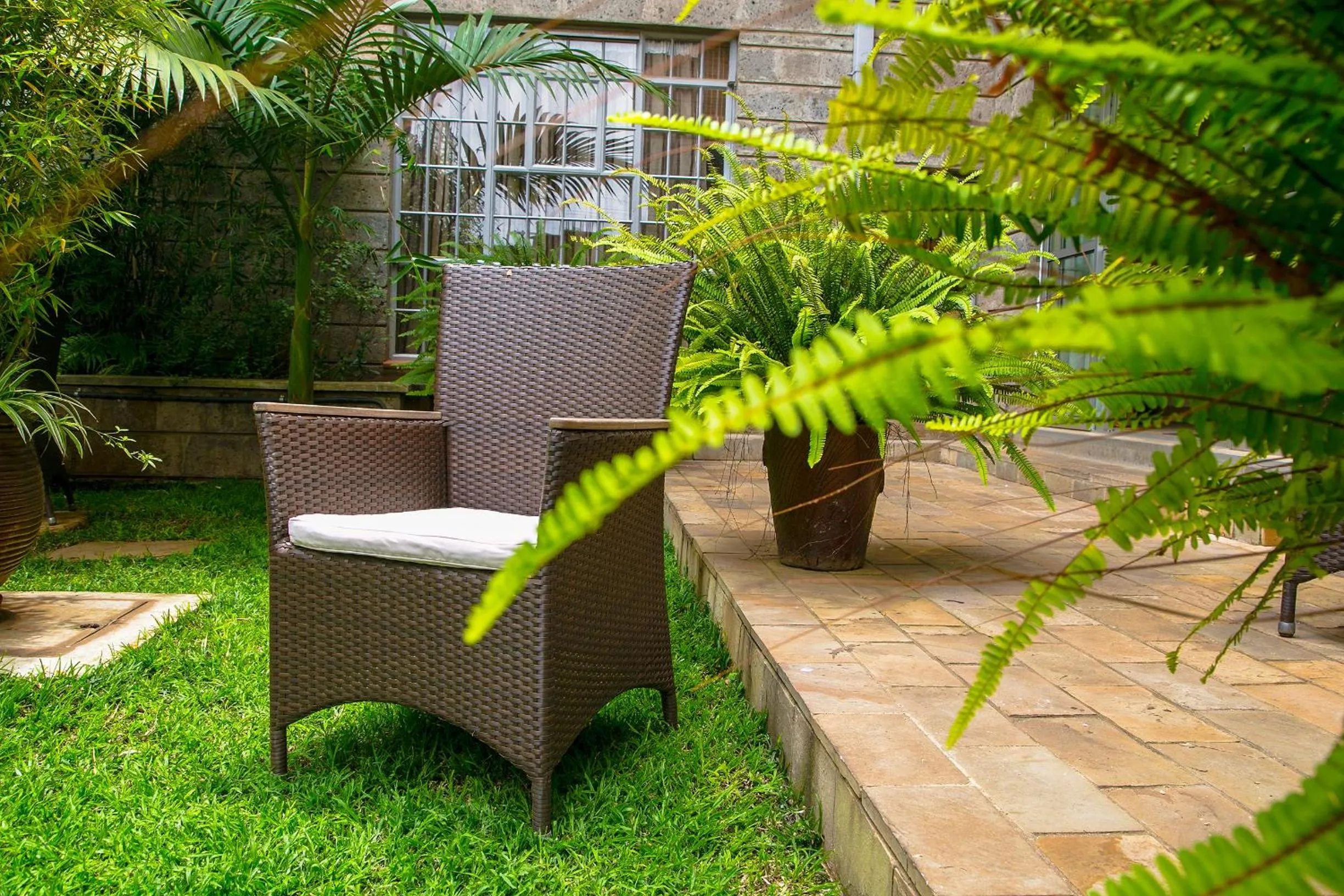 Garden in Batians Apartment Hotel