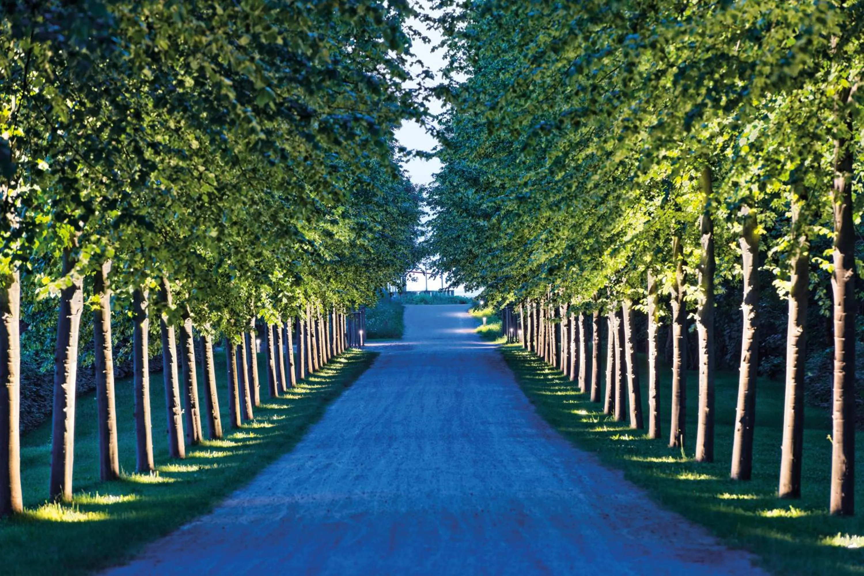 Natural landscape in Weissenhaus Private Nature Luxury Resort