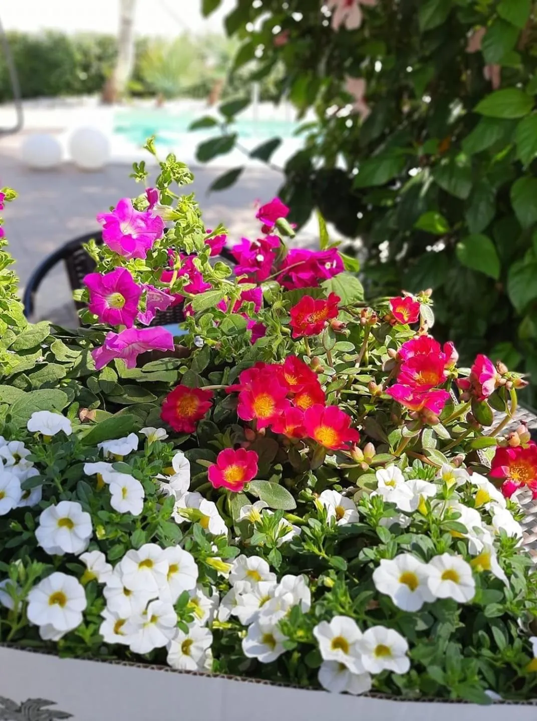 Villetta Del Salento Exclusive B&B