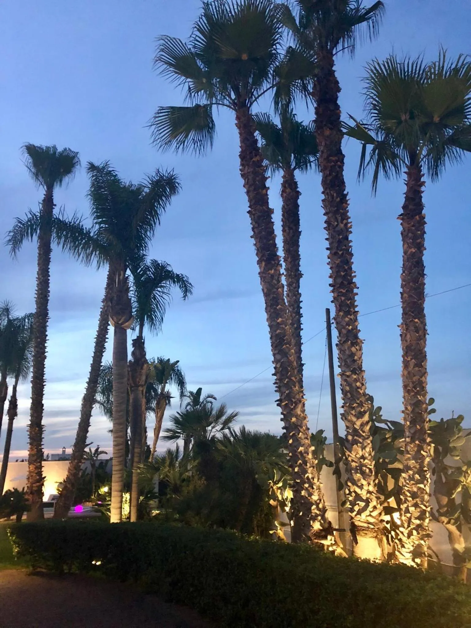 Villetta Del Salento Exclusive B&B