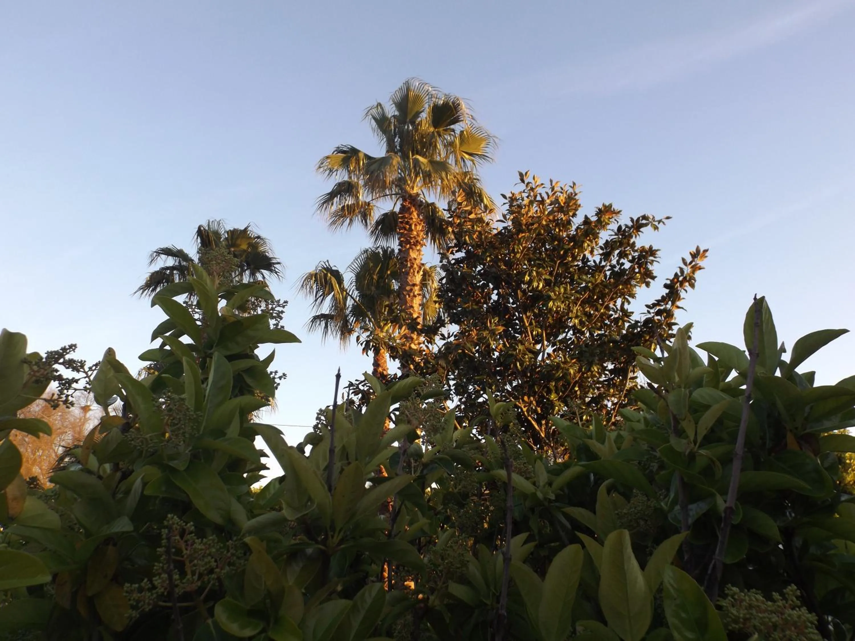 Garden in Villetta Del Salento Exclusive B&B