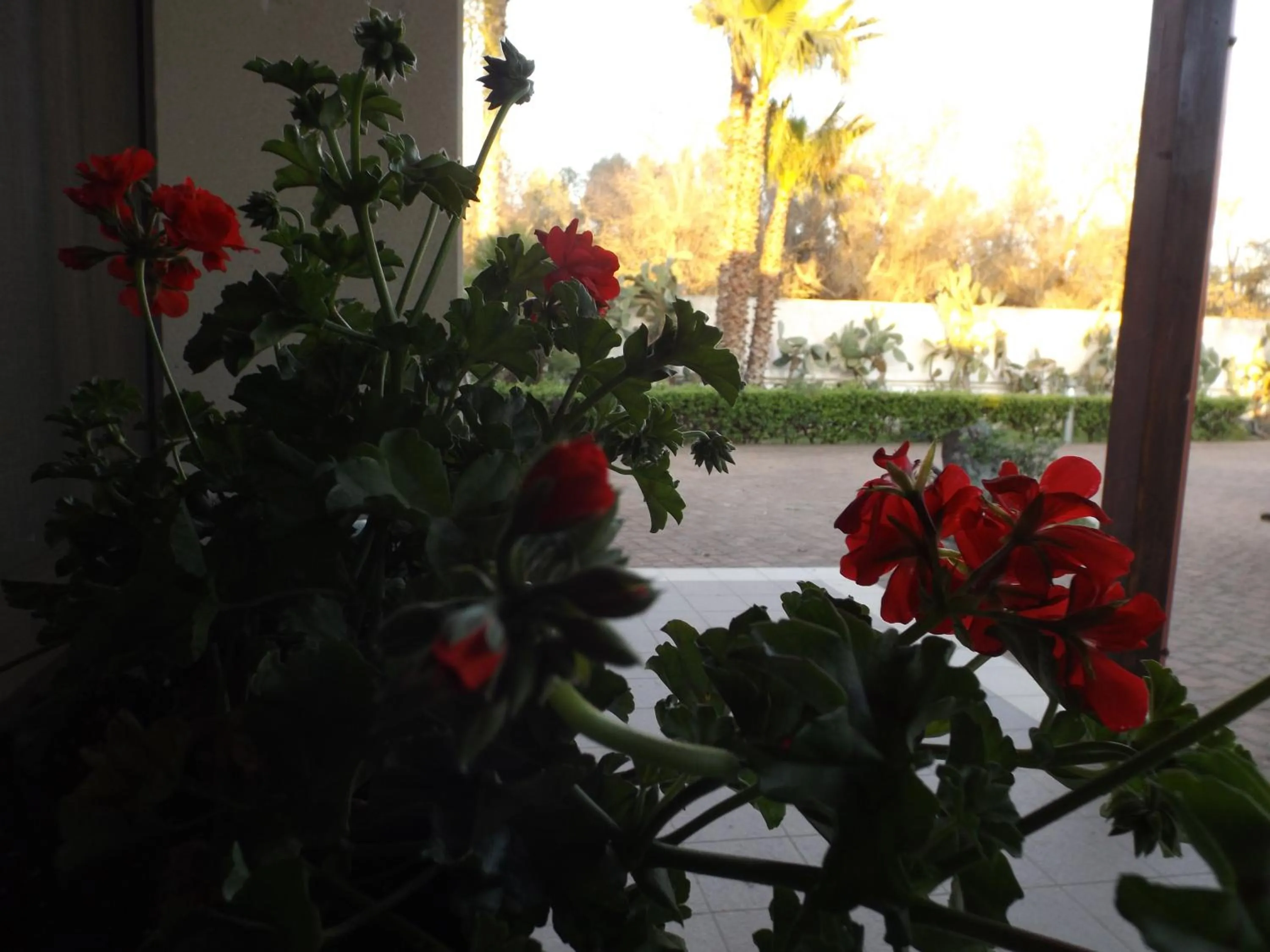 Garden view in Villetta Del Salento Exclusive B&B