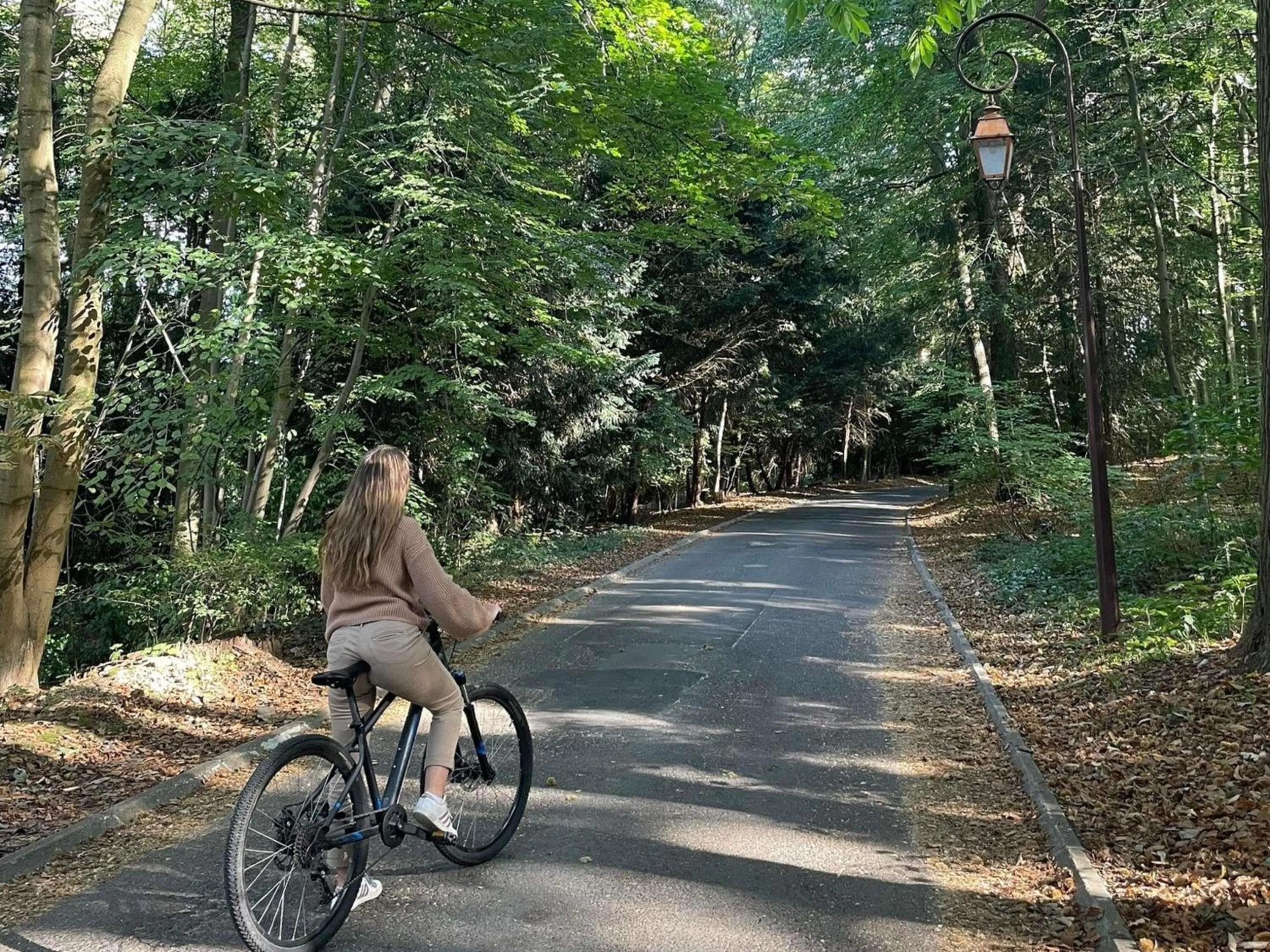 Other in Hotel Novotel Domaine de Maffliers - Paris Val-d'Oise