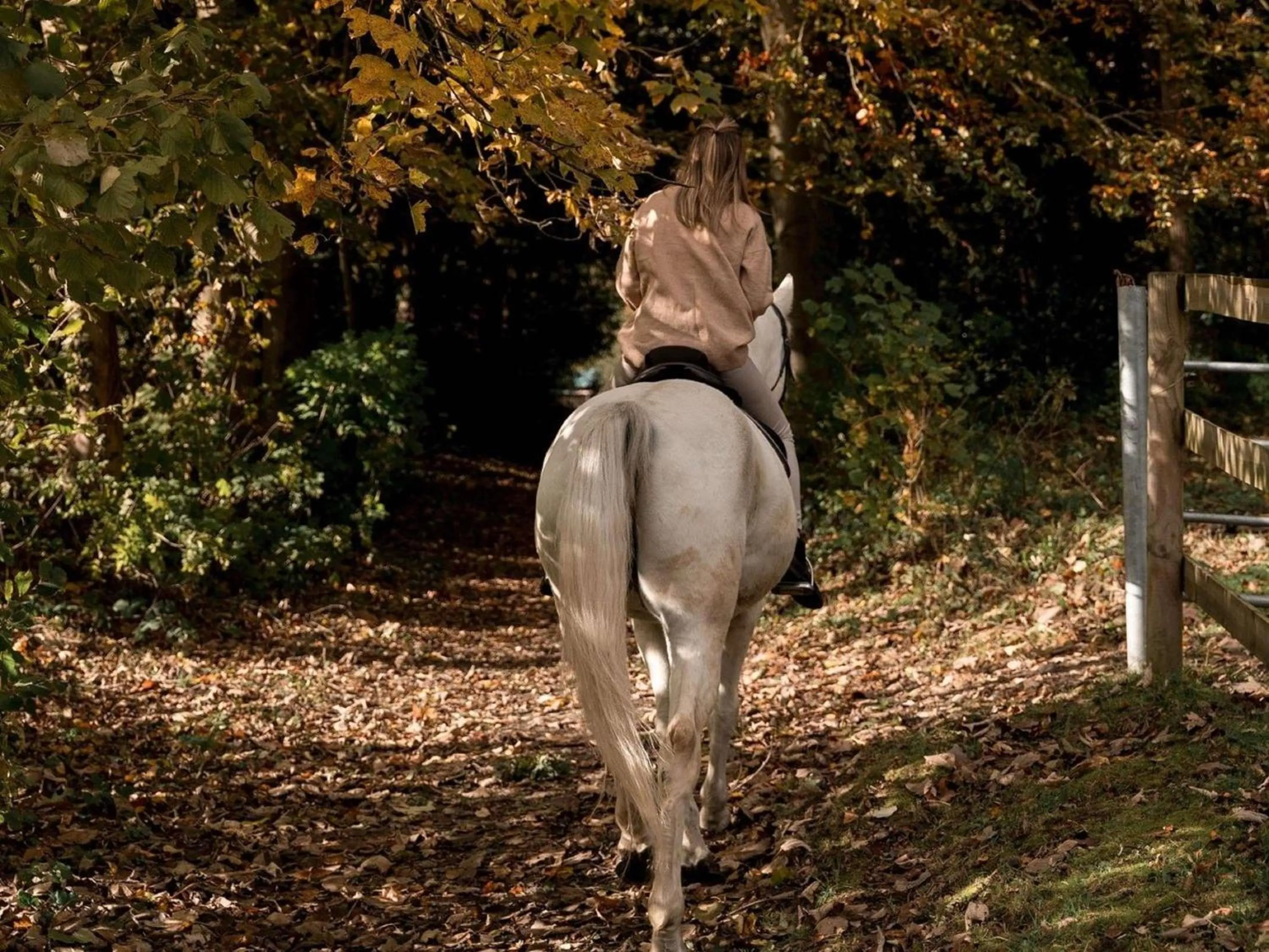 Other in Hotel Novotel Domaine de Maffliers - Paris Val-d'Oise