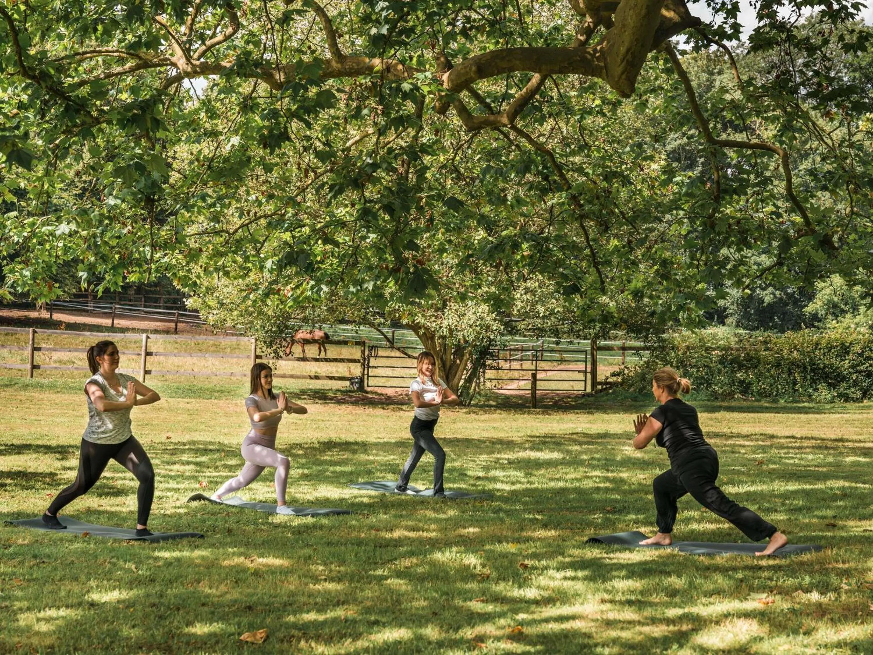 Other in Hotel Novotel Domaine de Maffliers - Paris Val-d'Oise