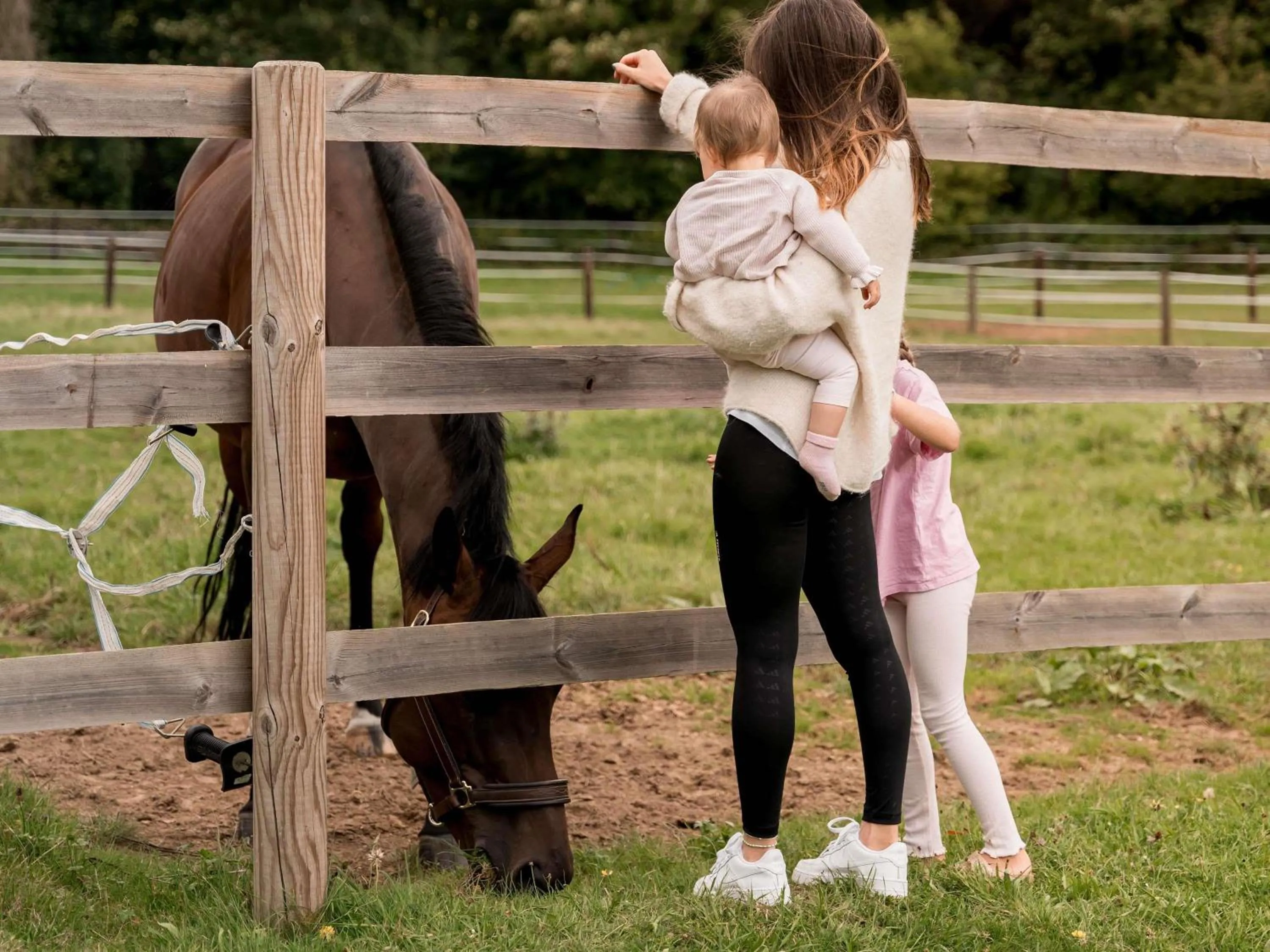 Other in Hotel Novotel Domaine de Maffliers - Paris Val-d'Oise