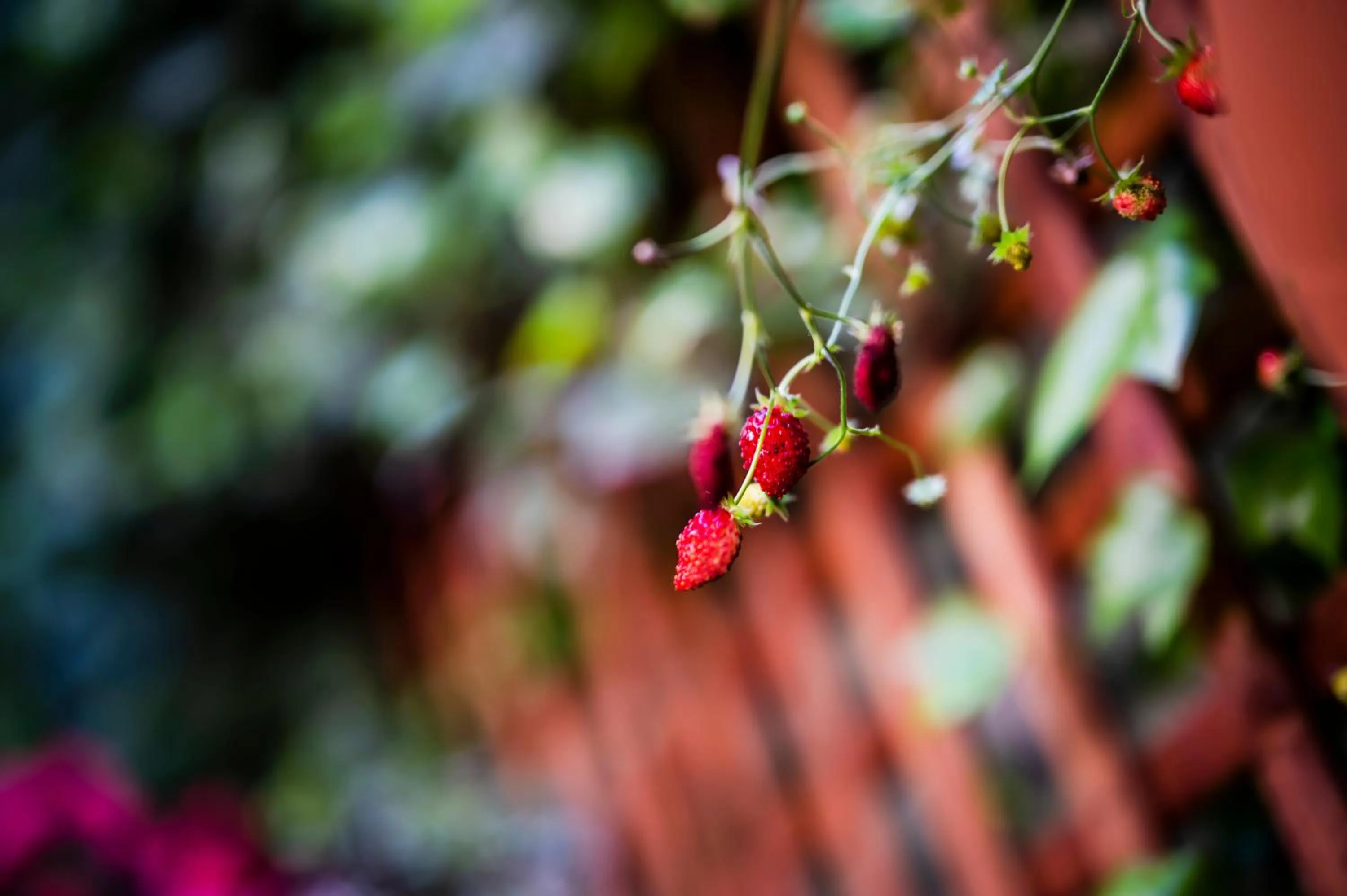 Property building in Apartamenty Schoeps Residence by Noclegi Renters